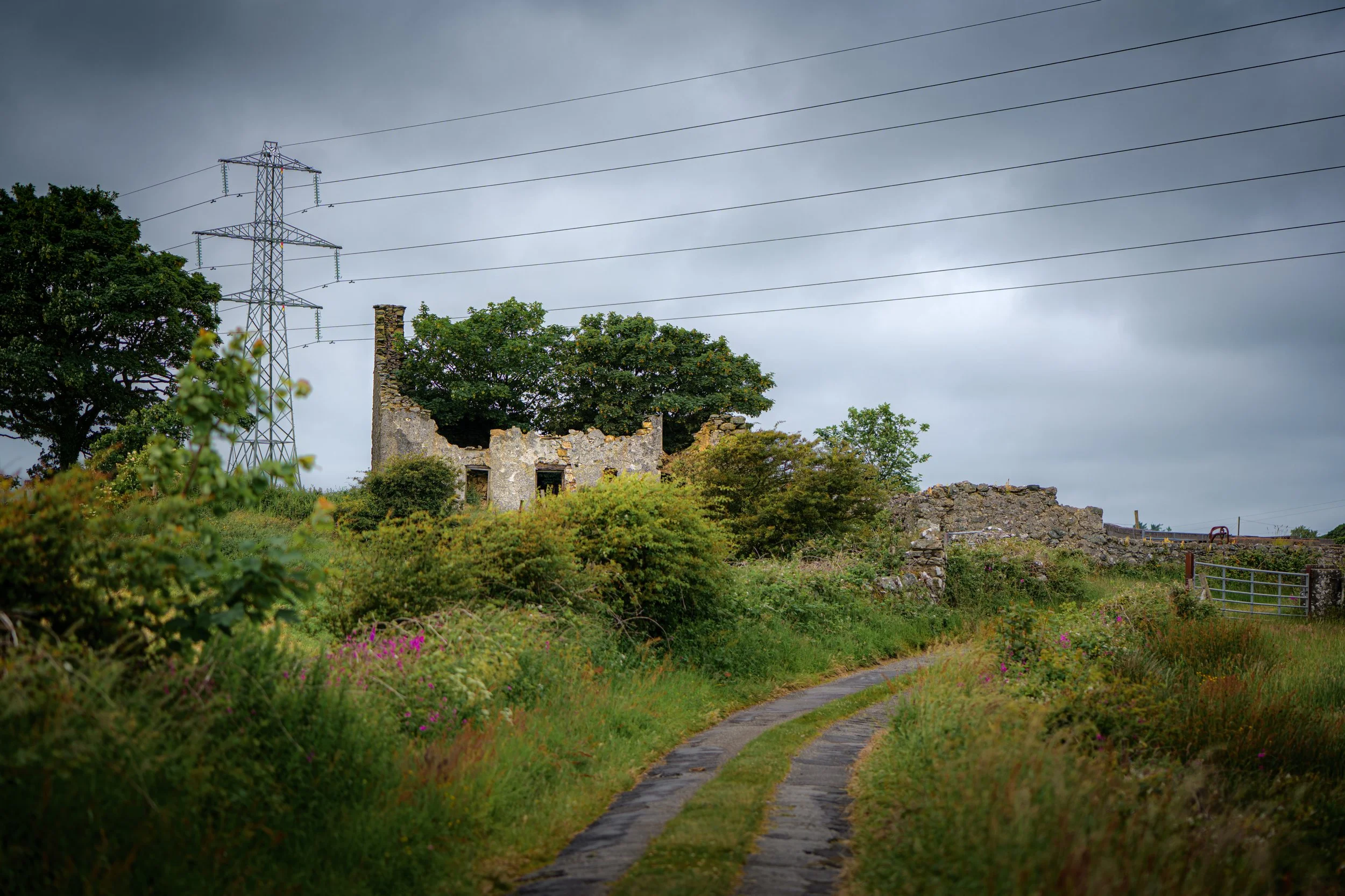 Gwaen-ydog, Mynydd Mechell, Anglesey, Wales.