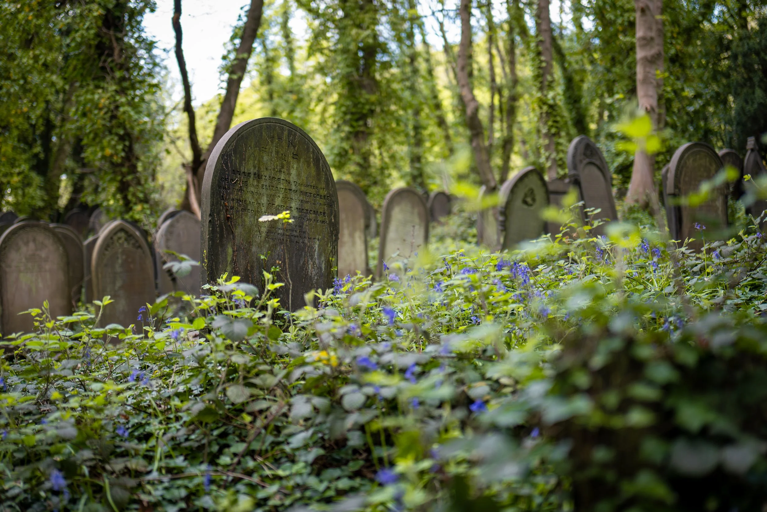 Wardsend Cemetery, Sheffield, South Yorkshire.