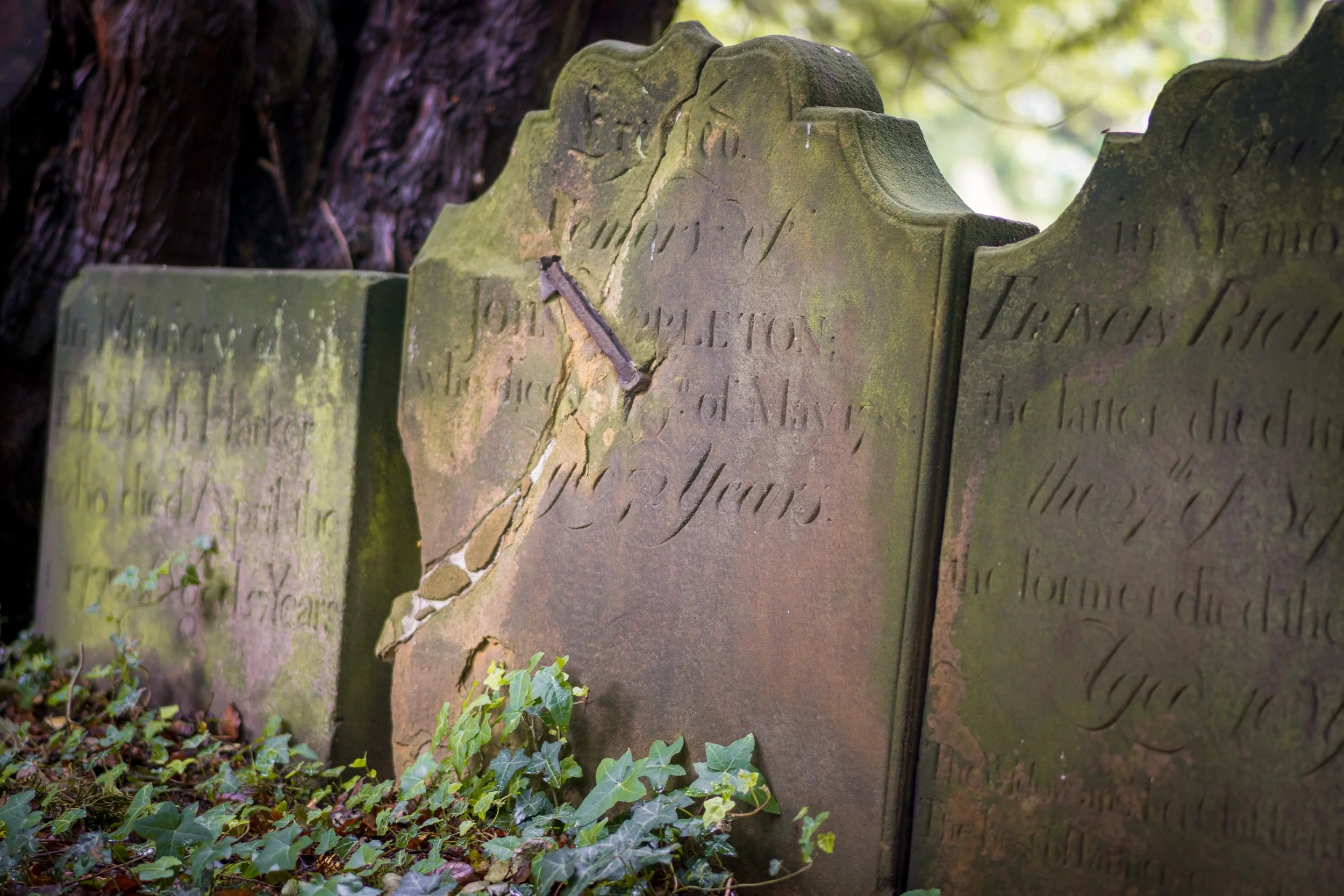 Frankengrave. Holy Cross, Whorlton, North Yorkshire.