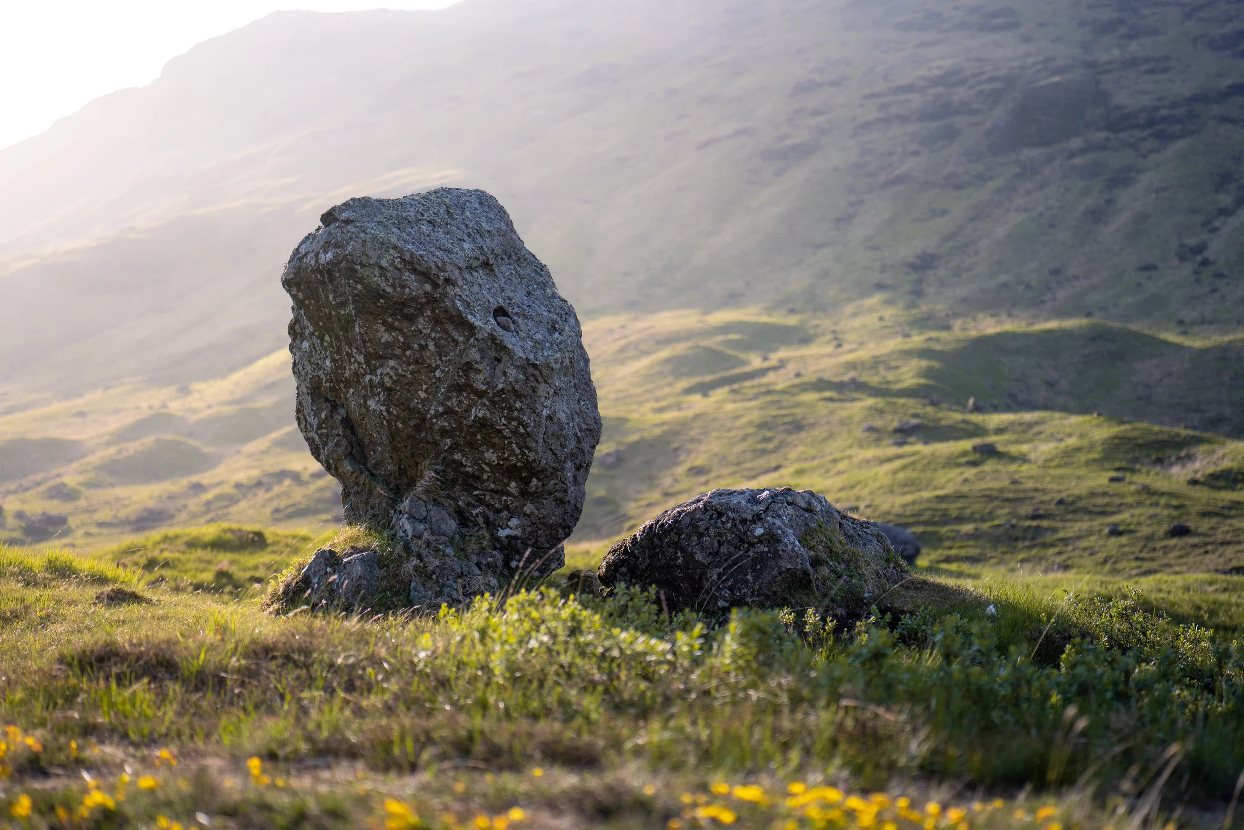 Stone head. Craig, Isle of Mull.