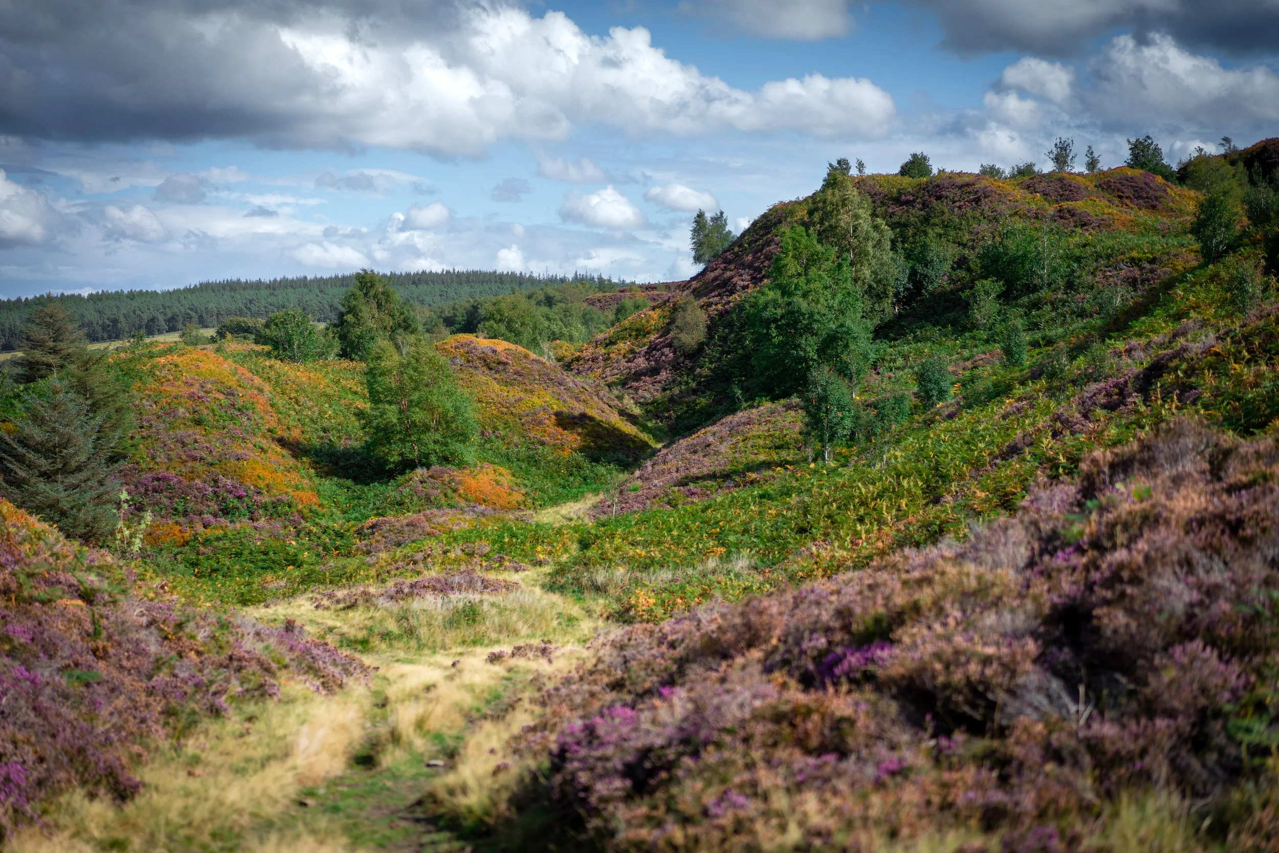 Canyards Hills, a strange collection of mounds and ridges rumoured to be home to an outcast community of malicious dwarves. Wigtwizzle, South Yorkshire.