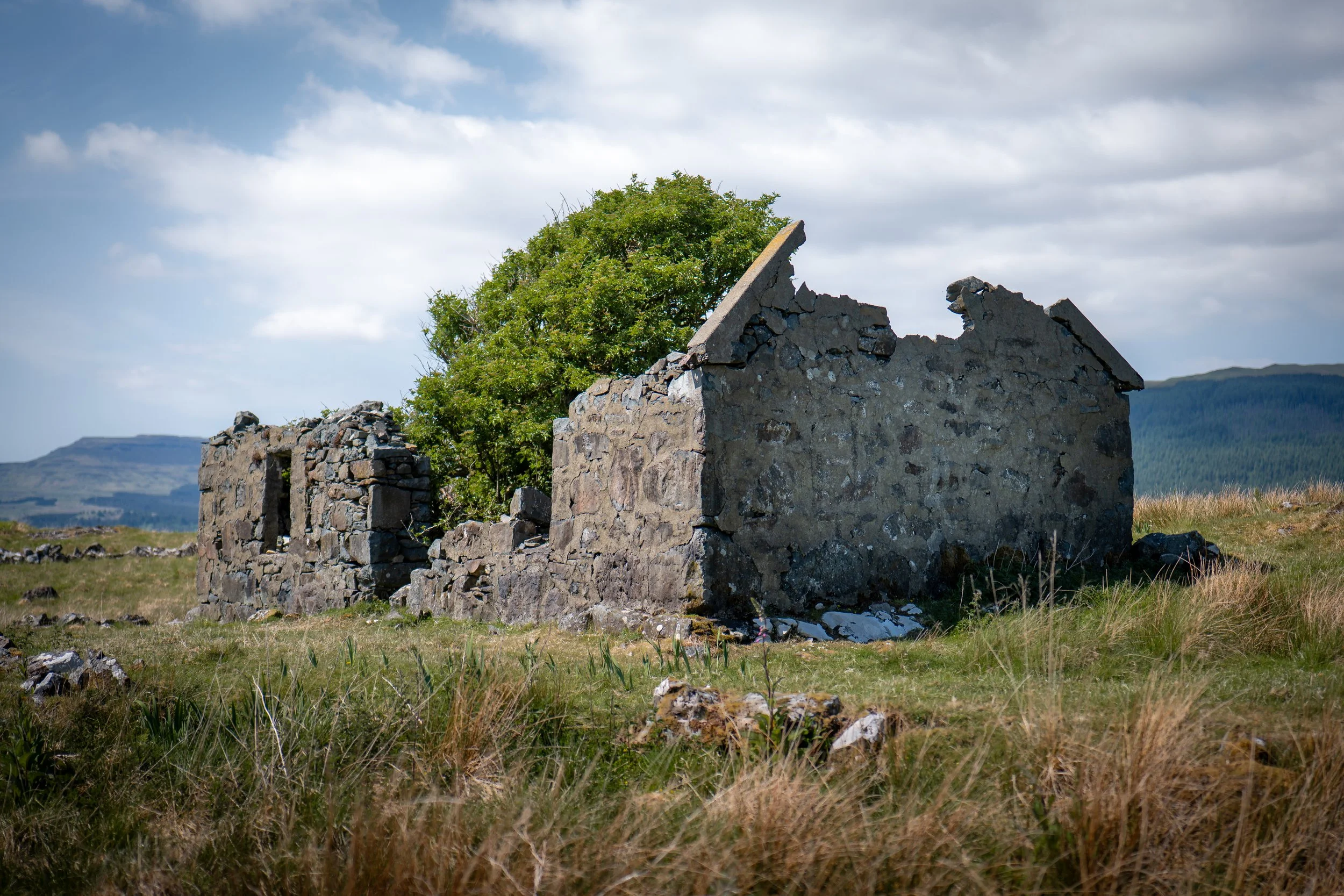 Aird of Kinloch, Isle of Mull.