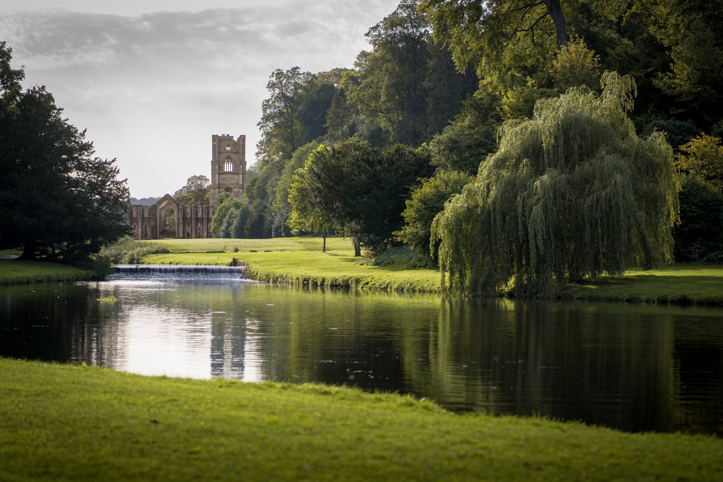 Fountains Abbey, Ripon, North Yorkshire.
