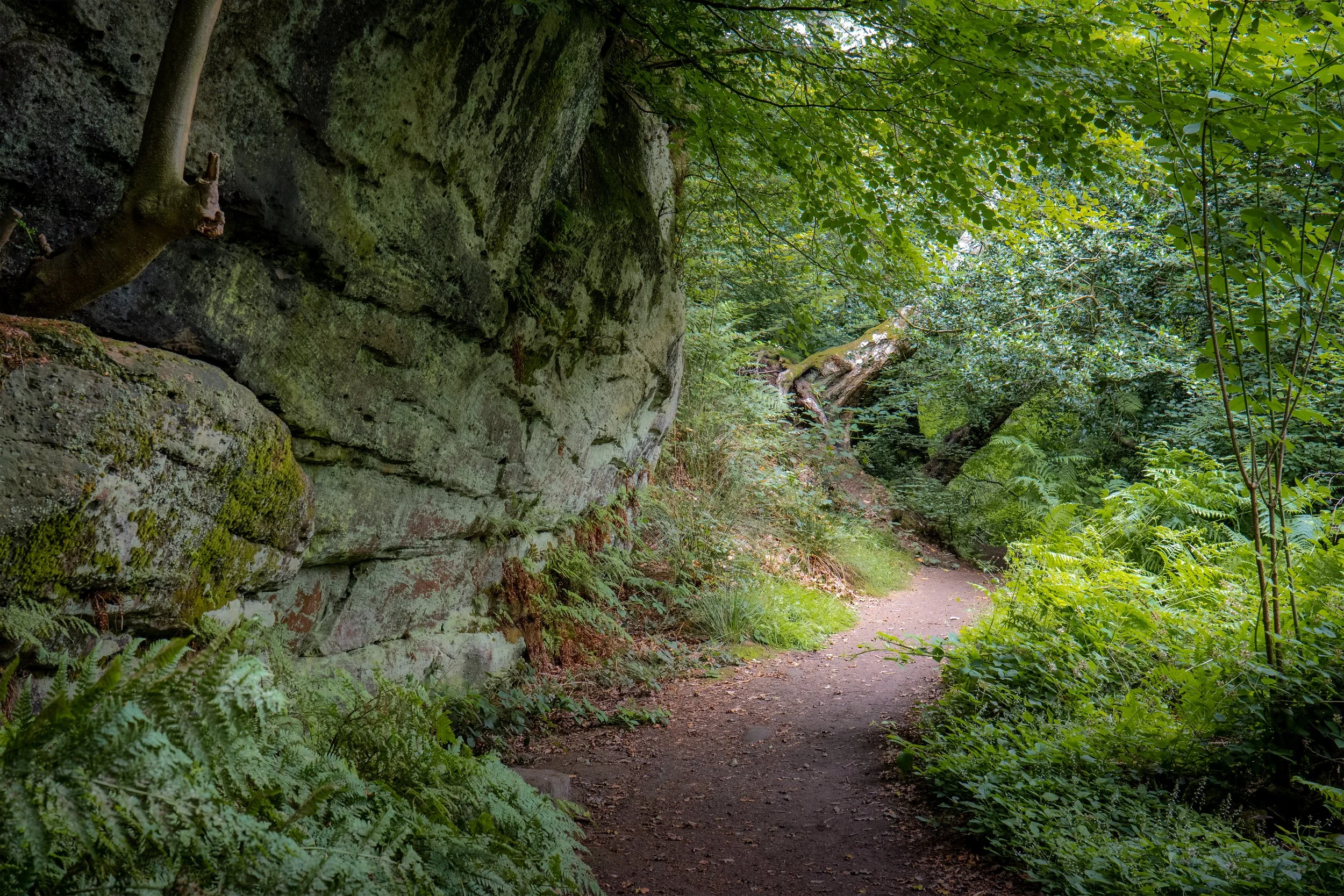 Alderley Edge, Cheshire.