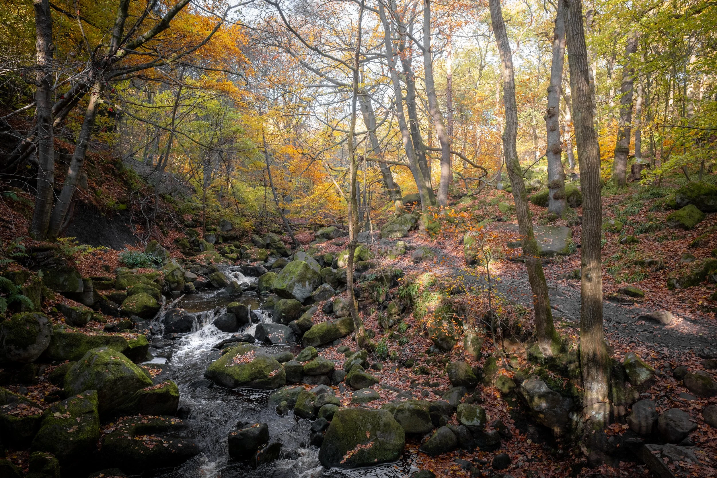 Padley Gorge, Derbyshire.
