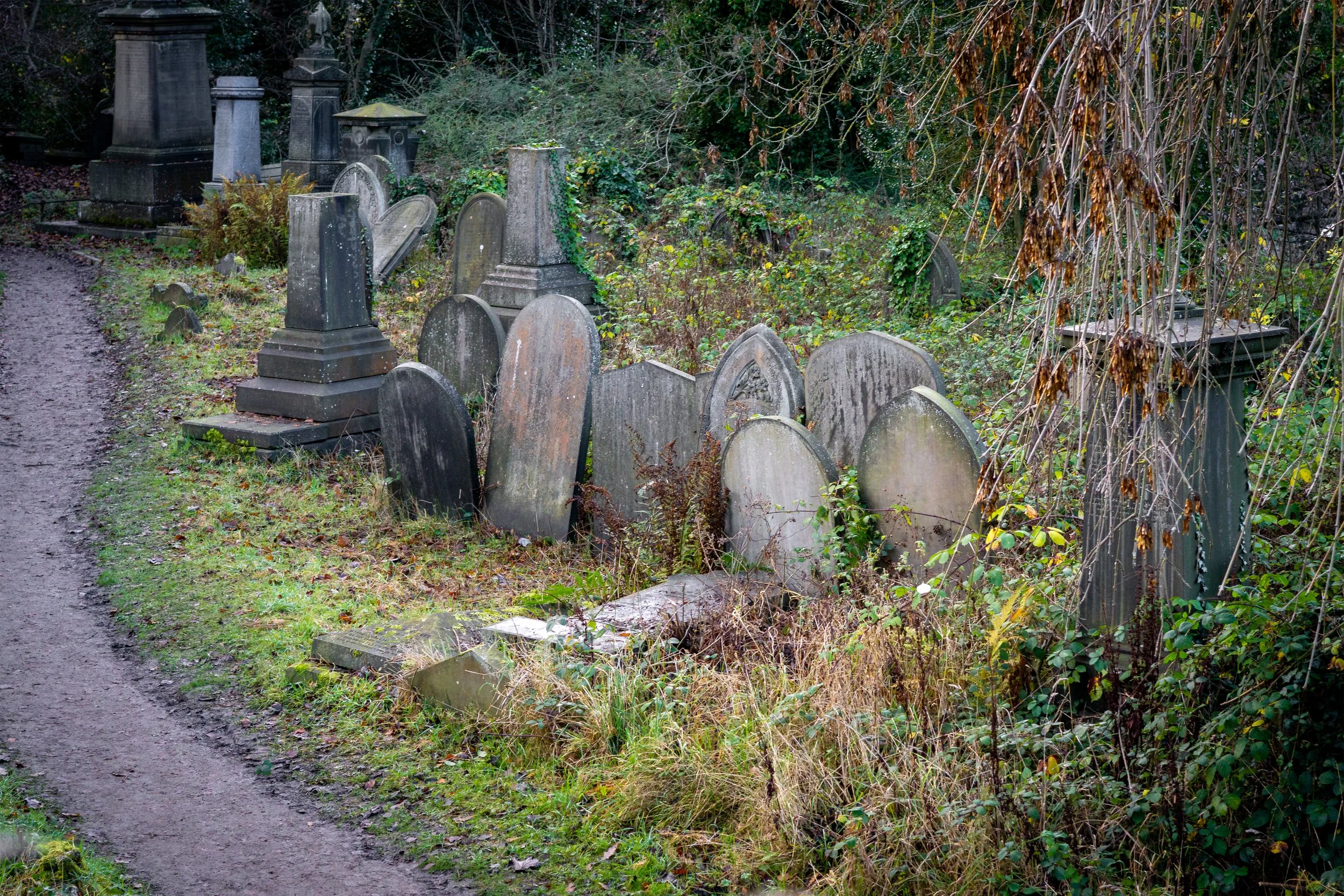 Sheffield General Cemetery, South Yorkshire.