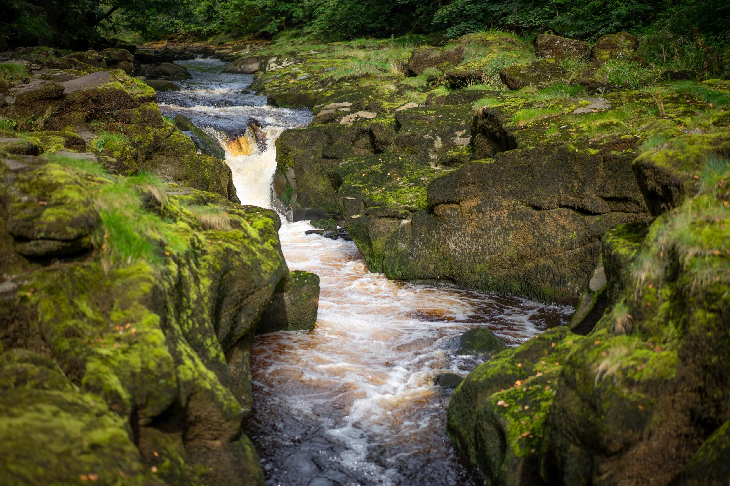 The Strid, an infamous section of the River Wharfe that's caused multiple fatalities (it's claimed nobody makes it out alive). Bolton Abbey, North Yorkshire