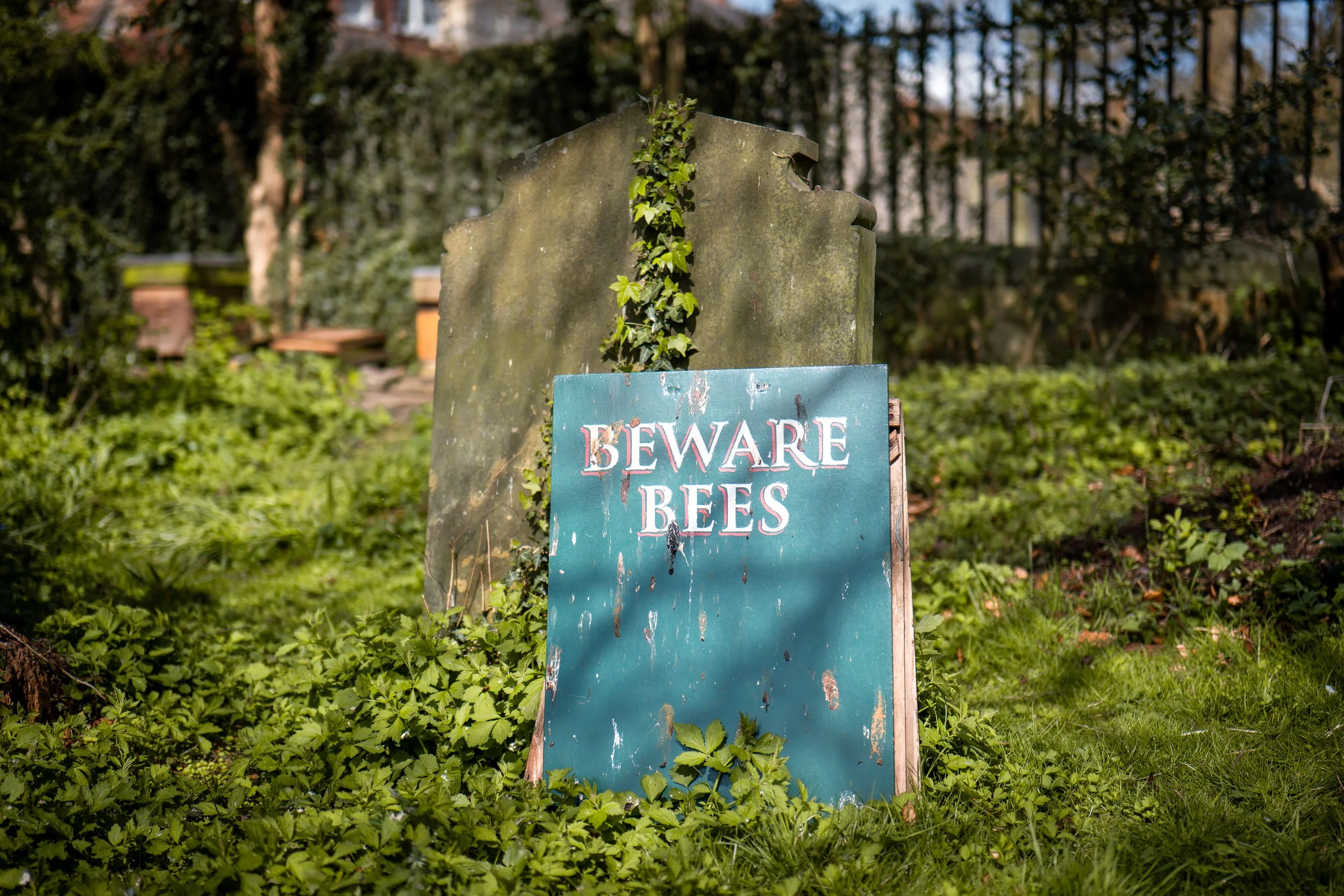 Not the bees. St Olave, York, North Yorkshire.