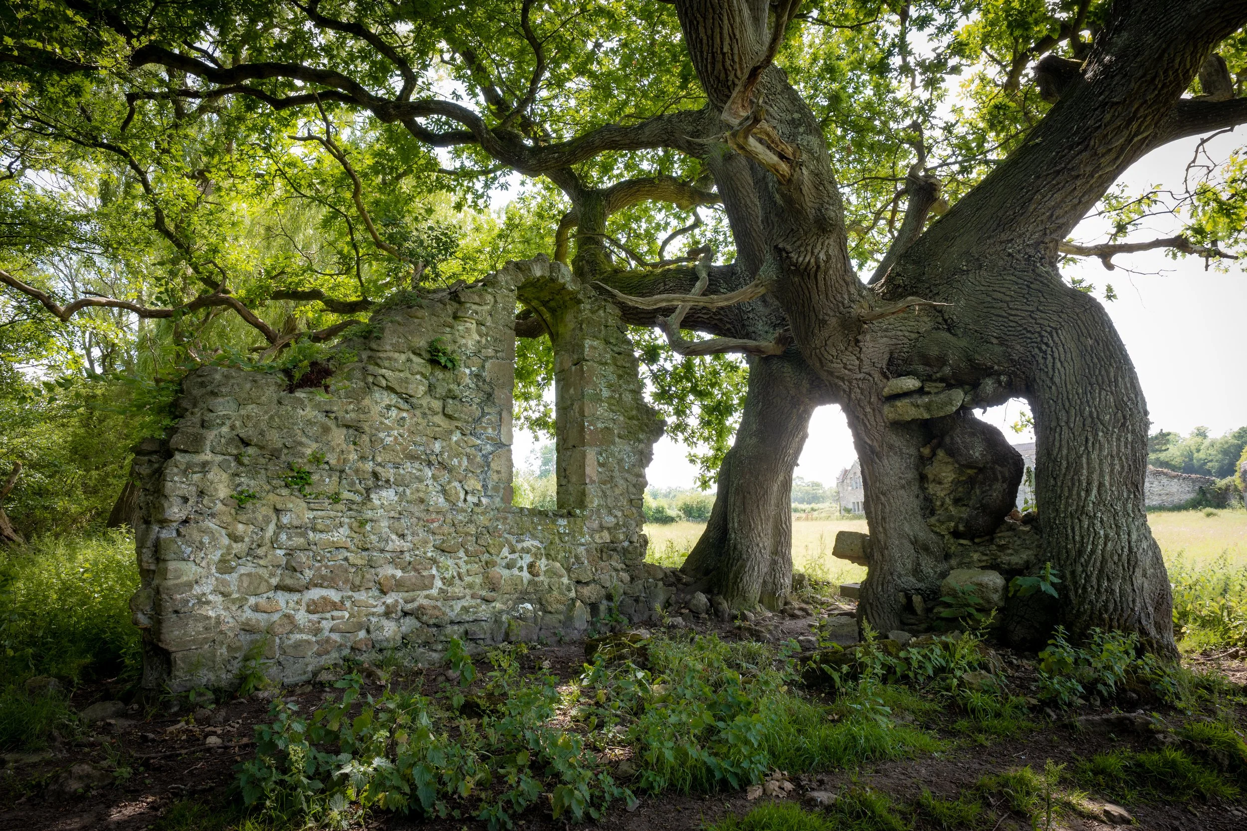 Quarr Abbey, Ryde, Isle of Wight.