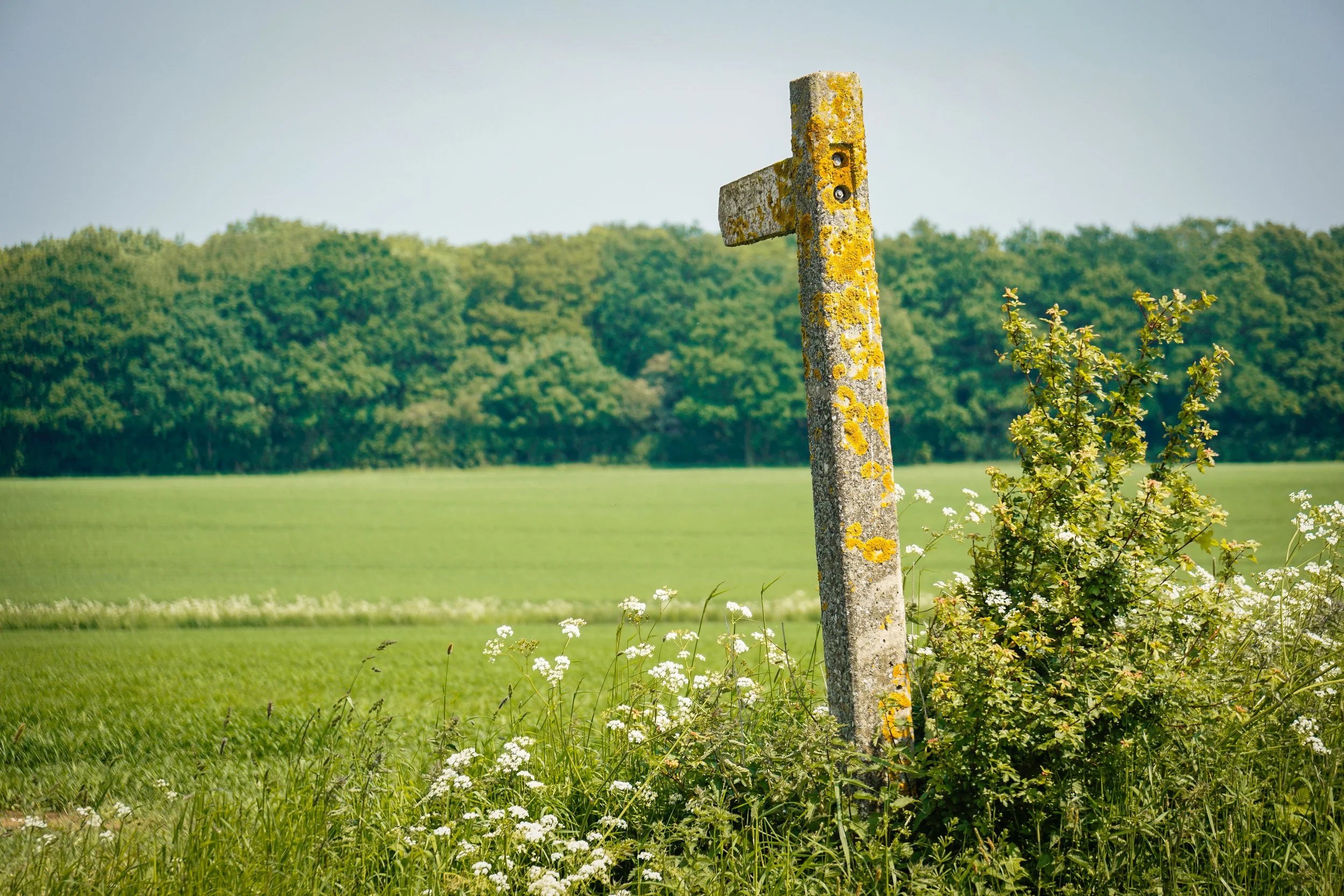 The rumoured burial site of Essex witch Poll Miles, where flowers are deposited at Christmas and Halloween. Castle Hedingham, Essex.