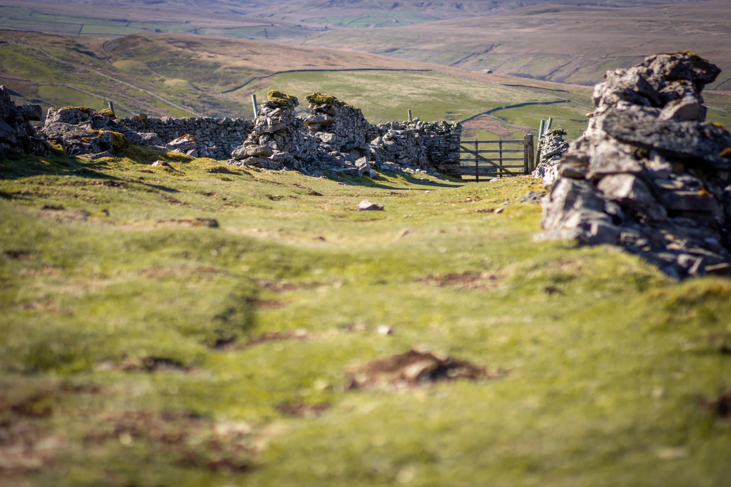 Swaledale Corpse Way, North Yorkshire.