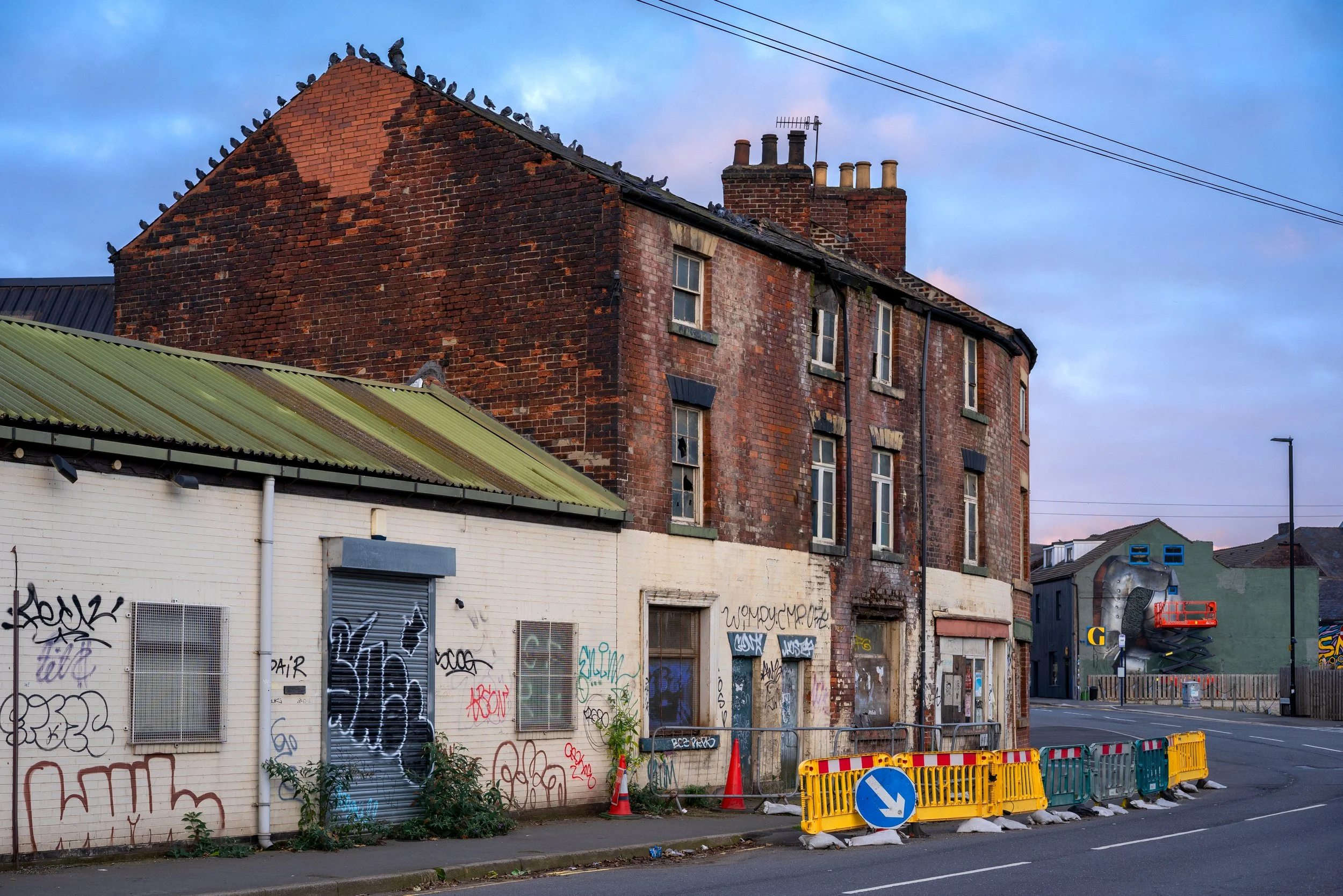 The birds. Kelham Island, Sheffield, South Yorkshire.