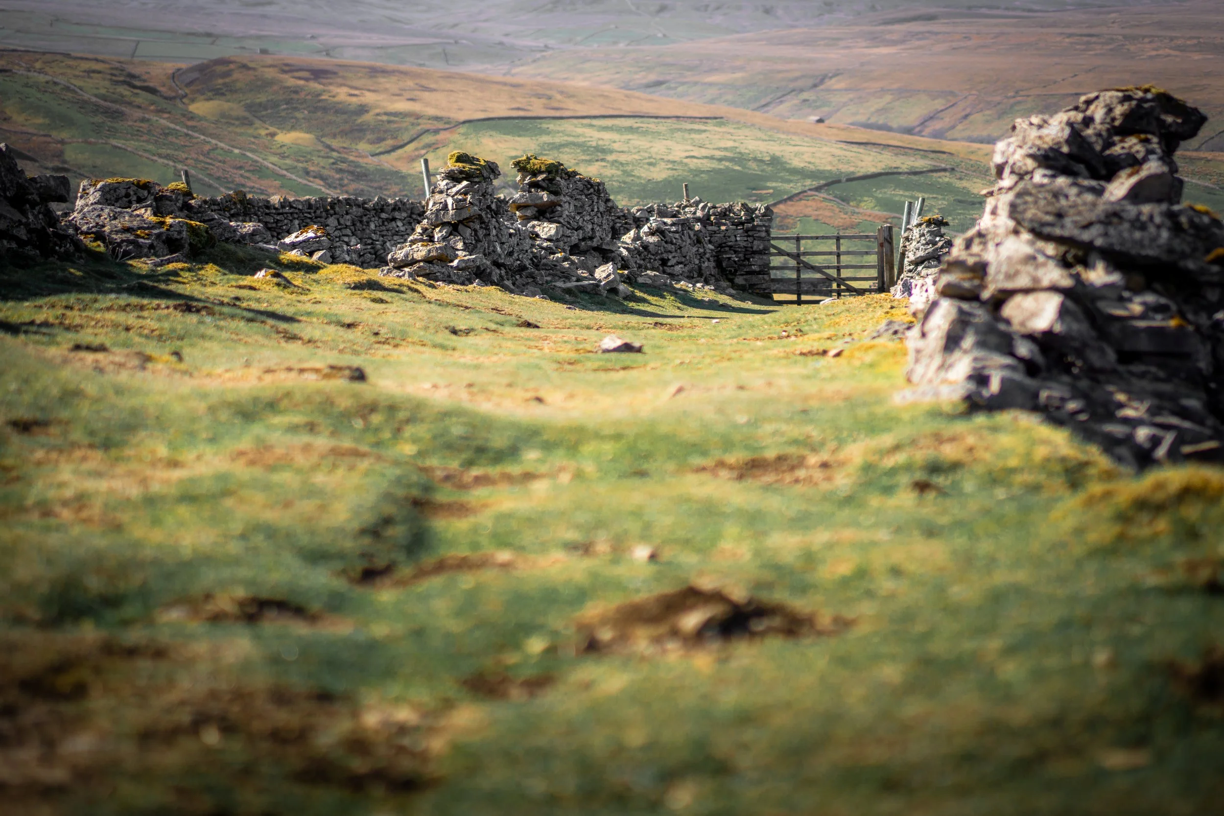 Swaledale Corpse Way, North Yorkshire.