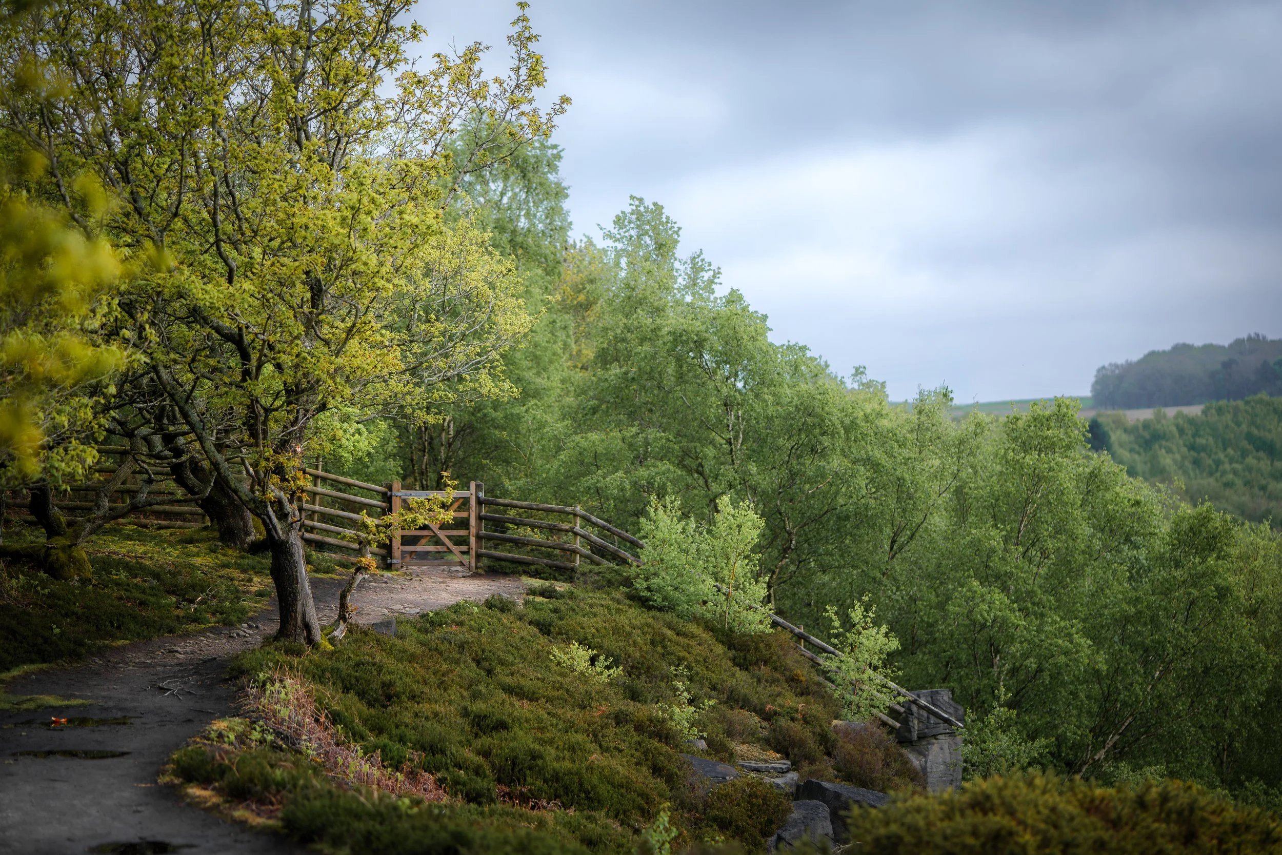 Wharncliffe Crags above Sheffield, an ancient gritstone escarpment believed to be inhabited by dragons and fairies. South Yorkshire.