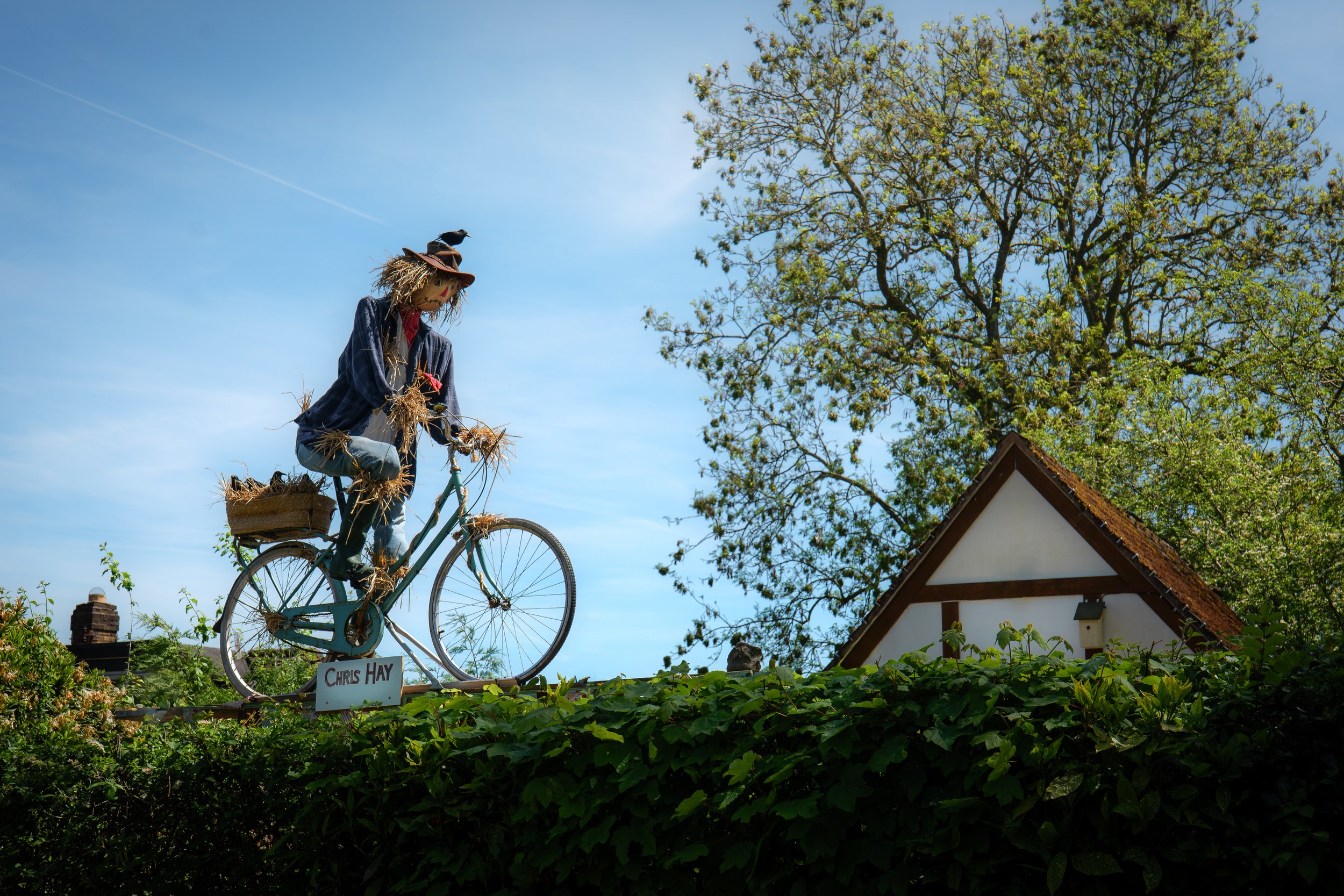 A Scarecrow Safari in Endon