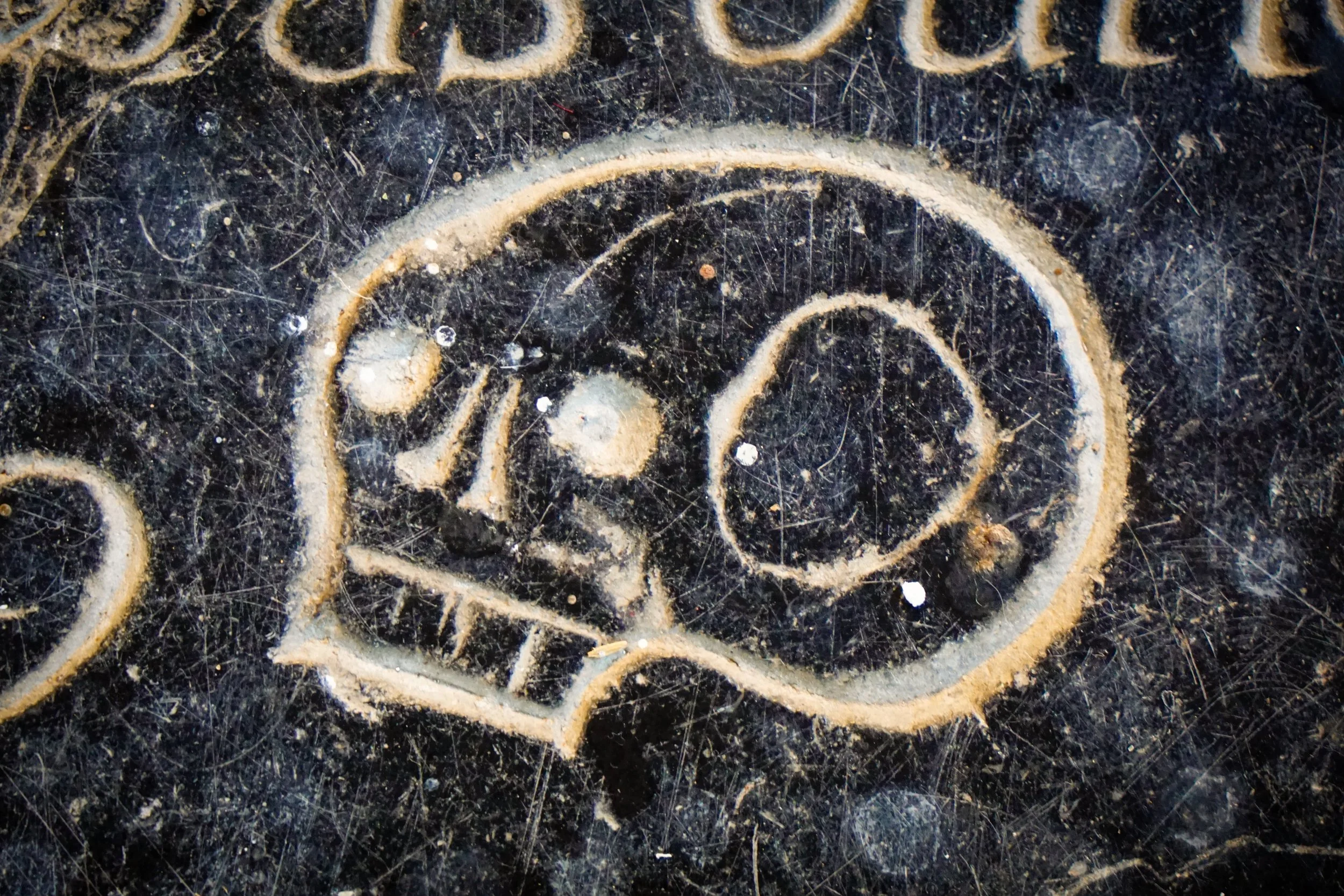 Diminutive skull. St Andrew, Kilverstone, Norfolk.