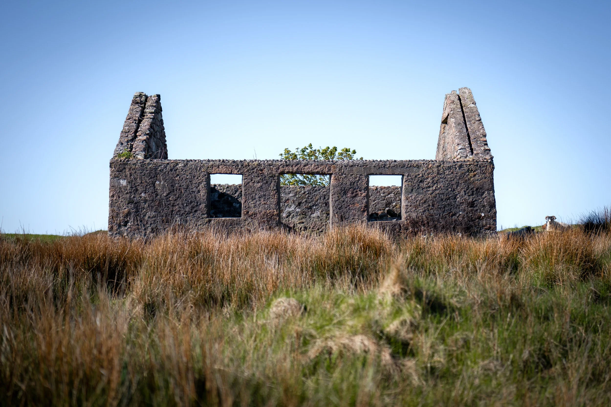 Aridhglas, Isle of Mull.
