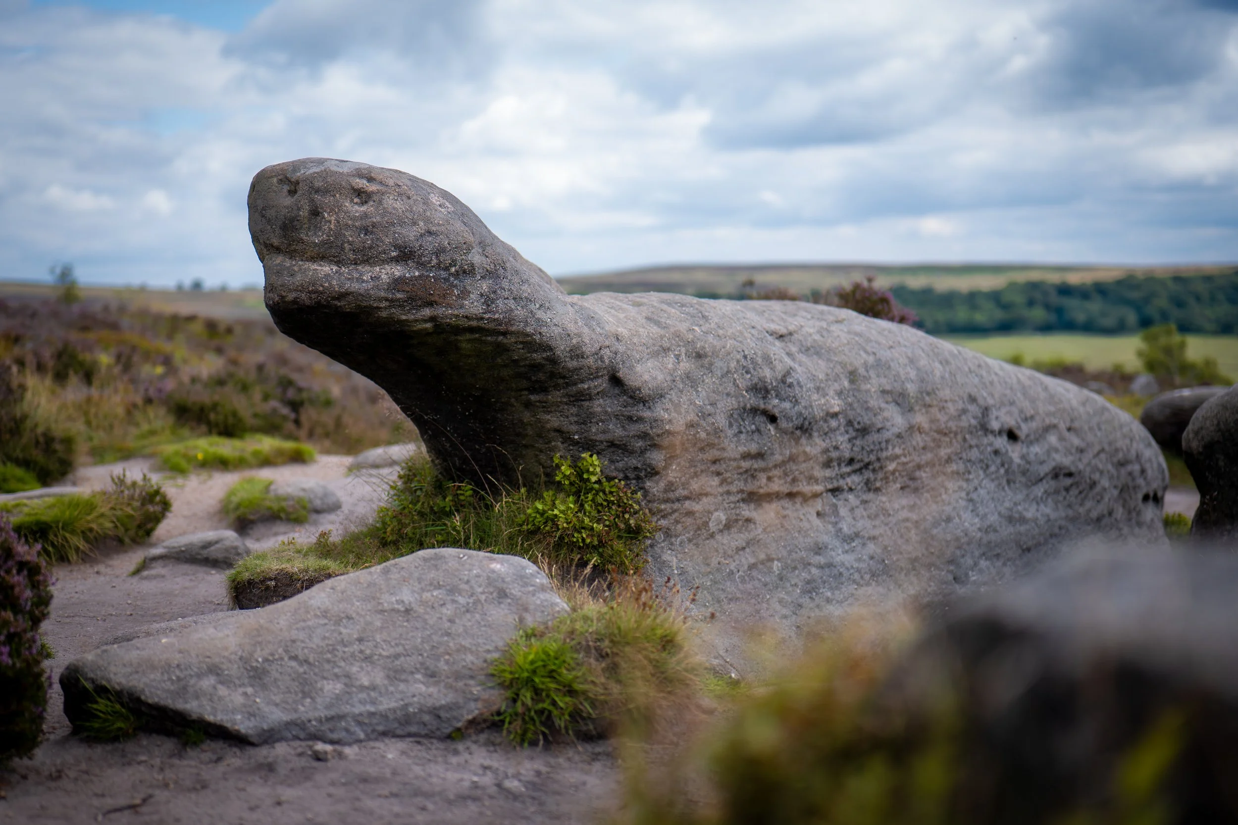 Tortoise rock, Millstone Edge, Derbyshire.