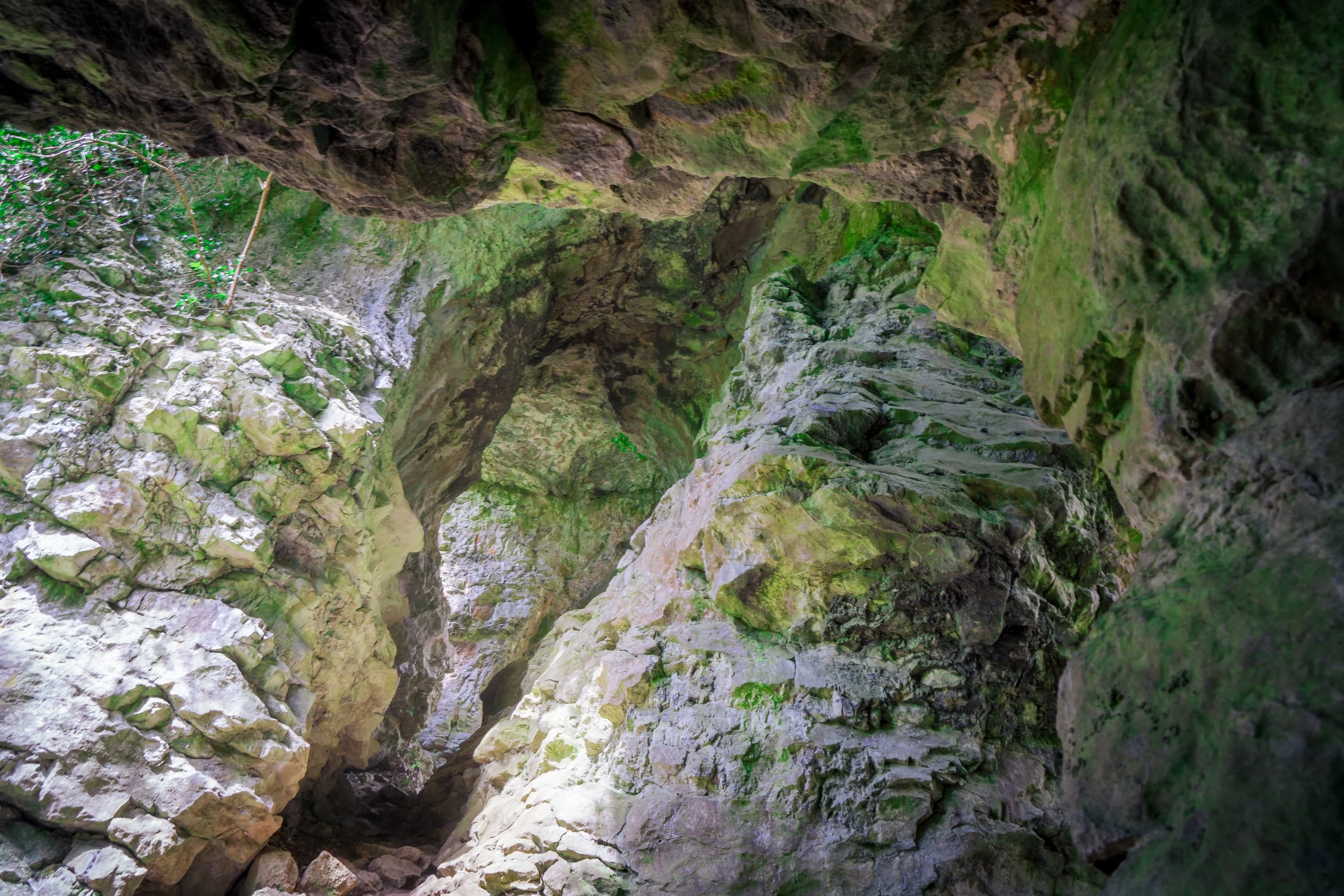 Cucklet Delf, the limestone gorge where services were held when the parish church was closed. Eyam, Derbyshire.