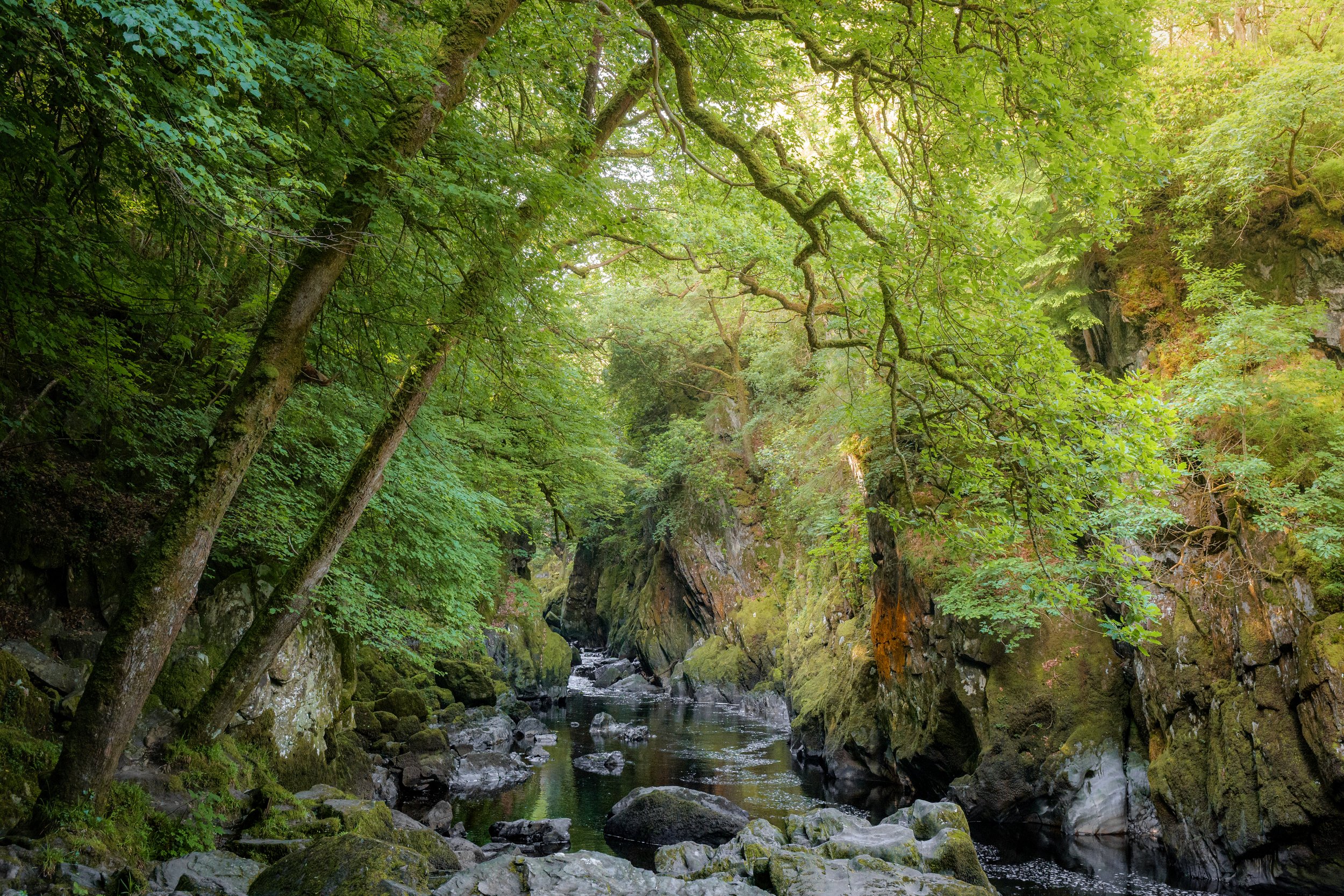 Betws-y-Coed Fairy Glen in Snowdonia, known historically as Ffos Anoddun, or the Ravine of Annwyn (mysterious Celtic underderworld and realm of the fae). Gwynedd, Wales.