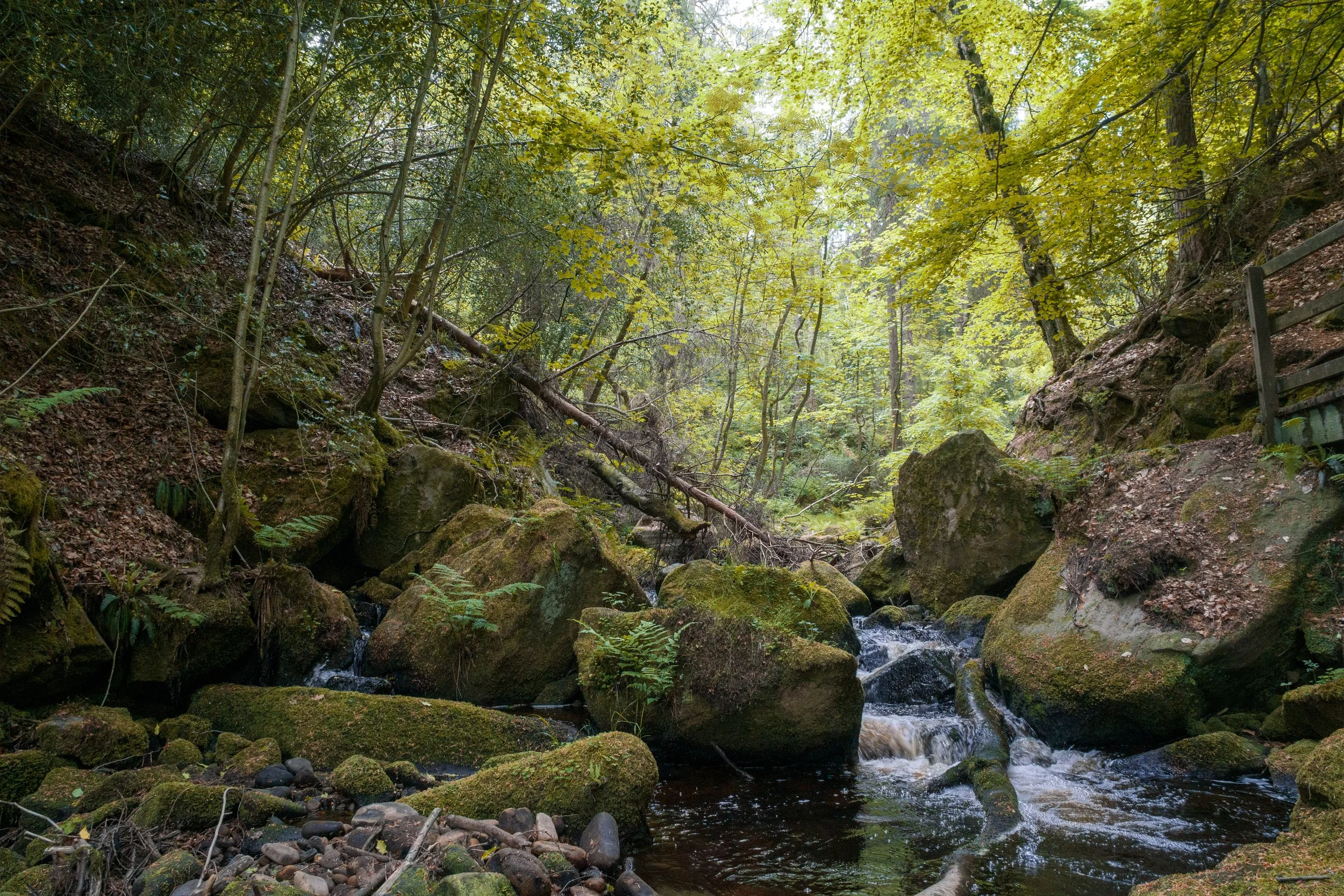 Wyming Brook, Sheffield, South Yorkshire.