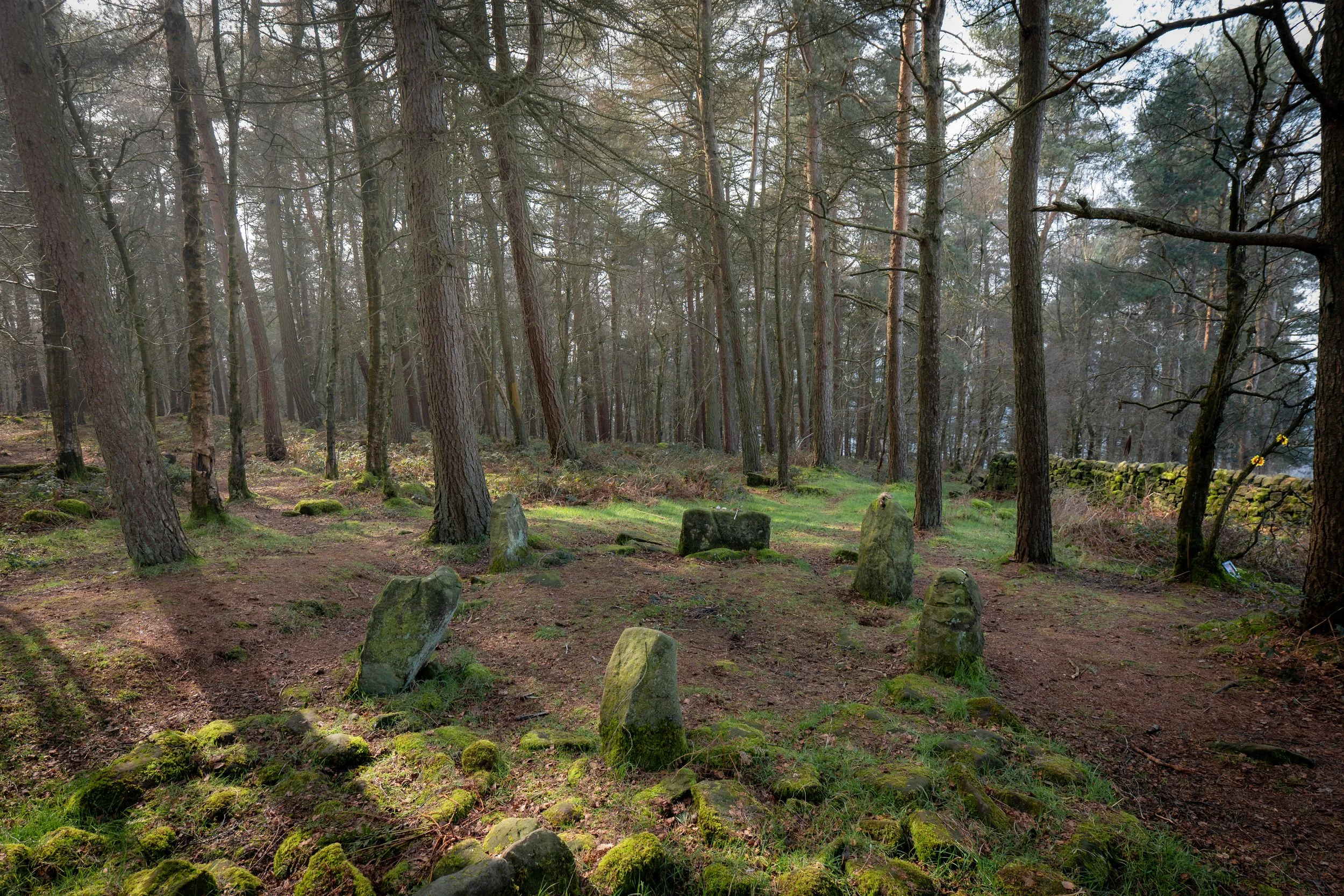 Doll Tor, Stanton Moor, Derbyshire.