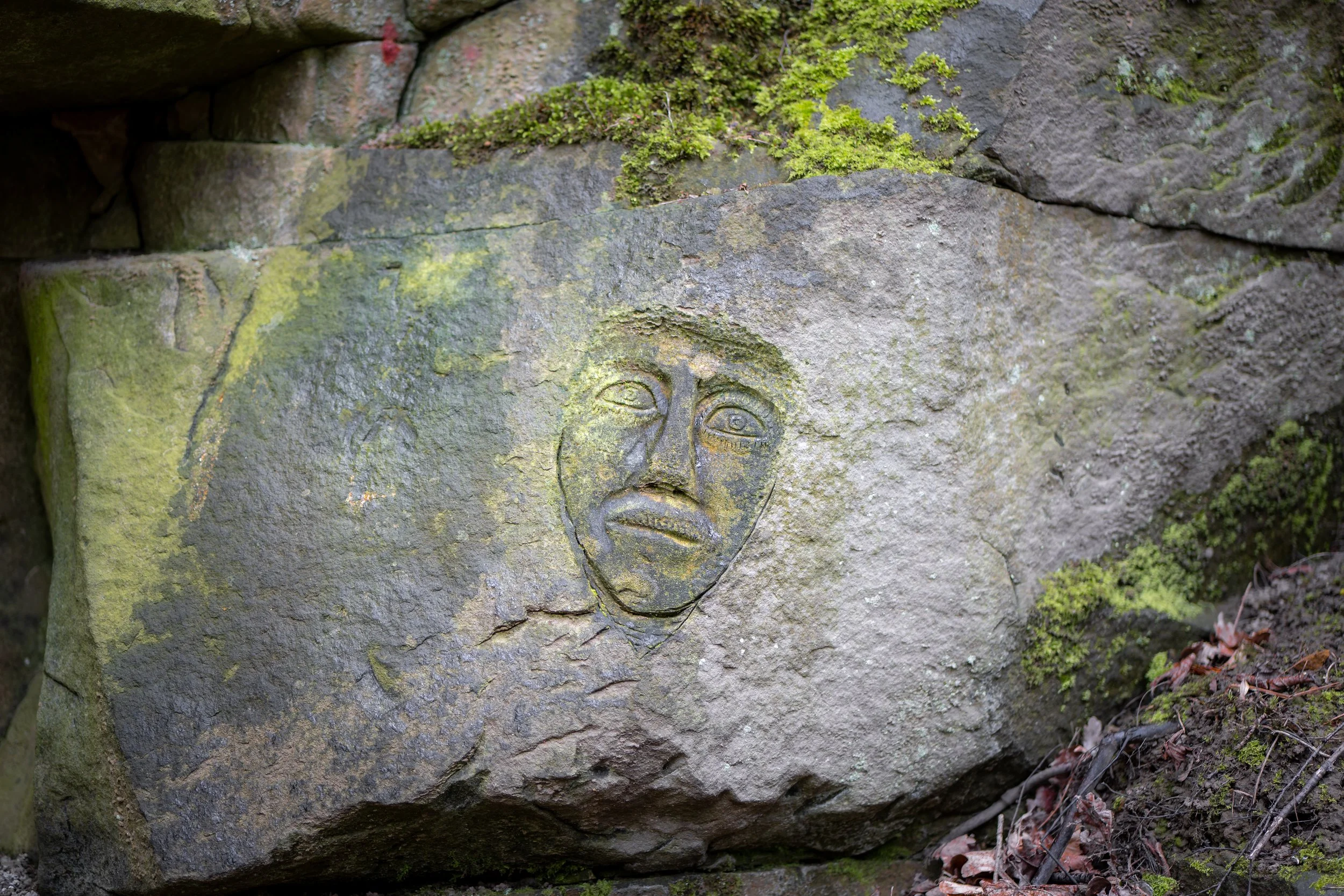 Darfield Quarry, South Yorkshire.