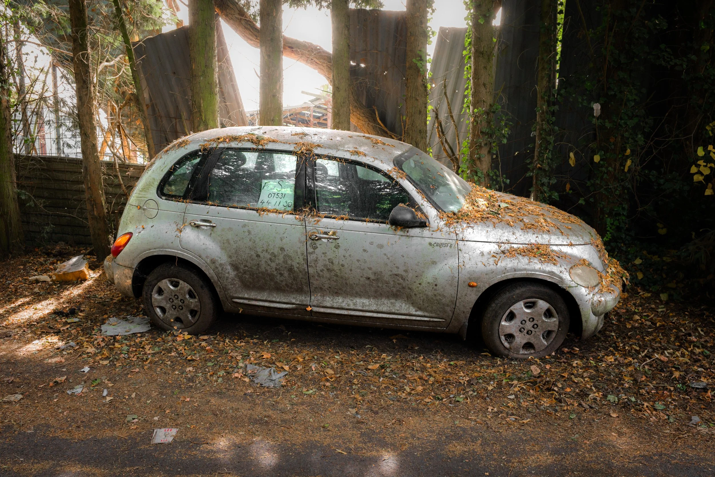 For sale. Heather, Leicestershire.