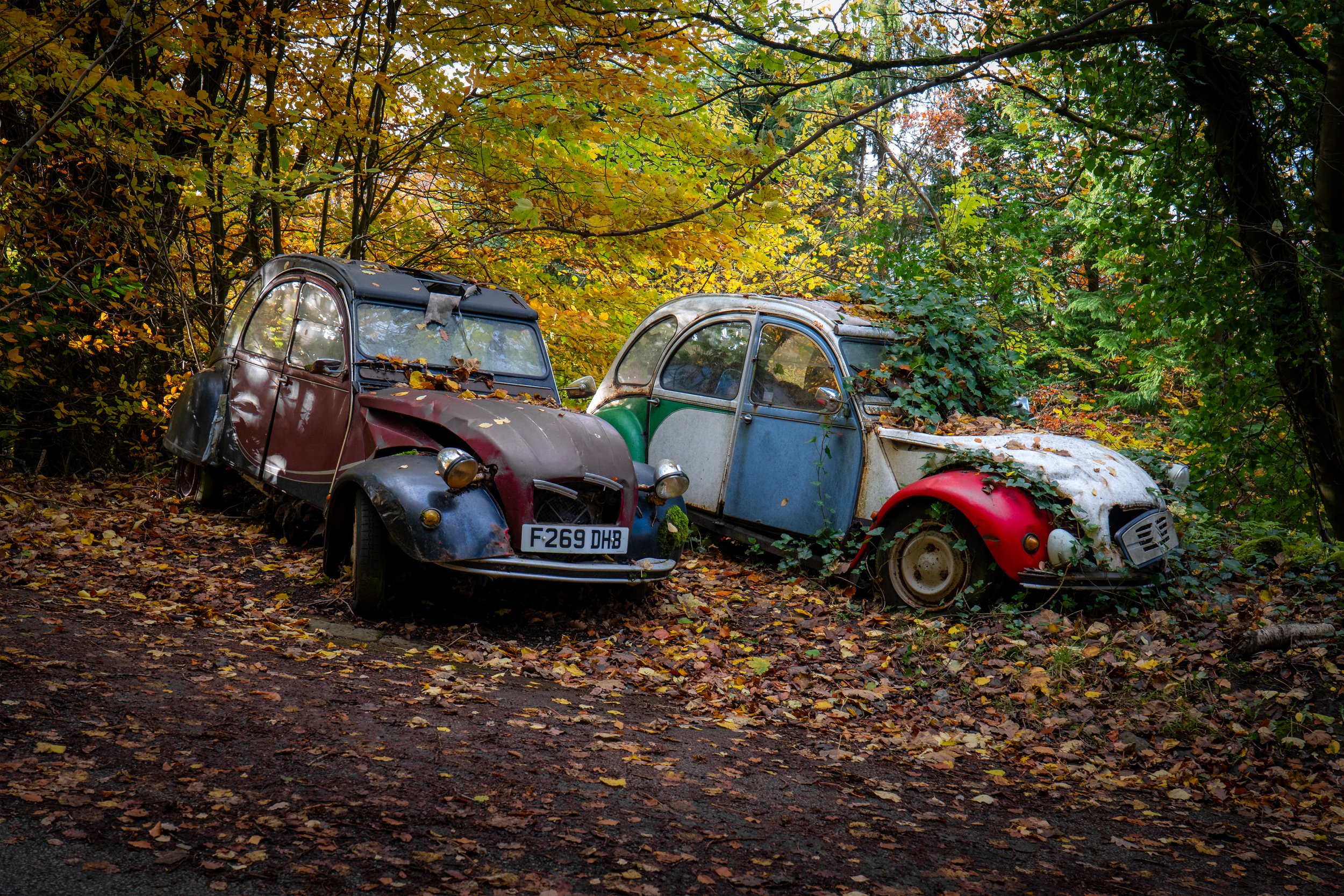 Autumn edition. Grindleford, Derbyshire.