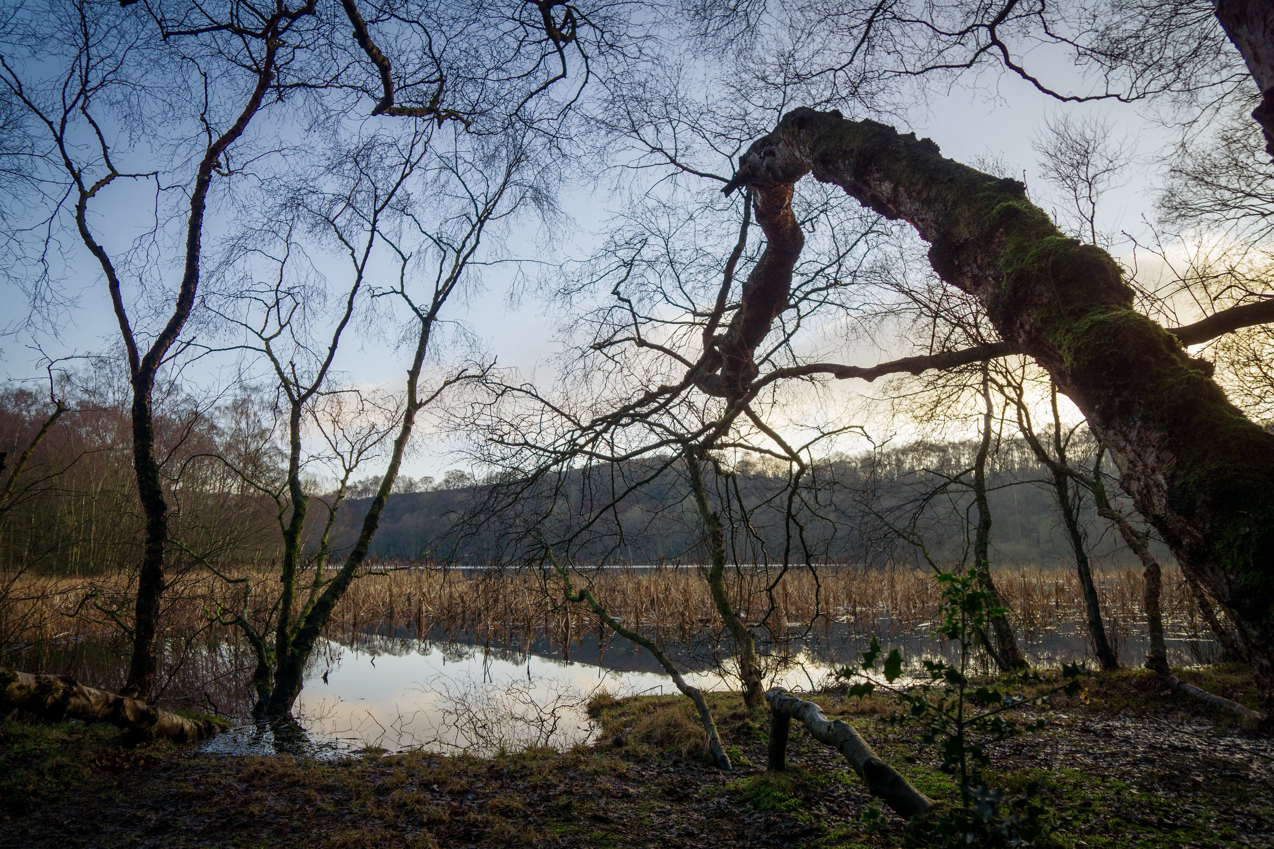 Witch's eye view. Gormire Lake, North Yorkshire.