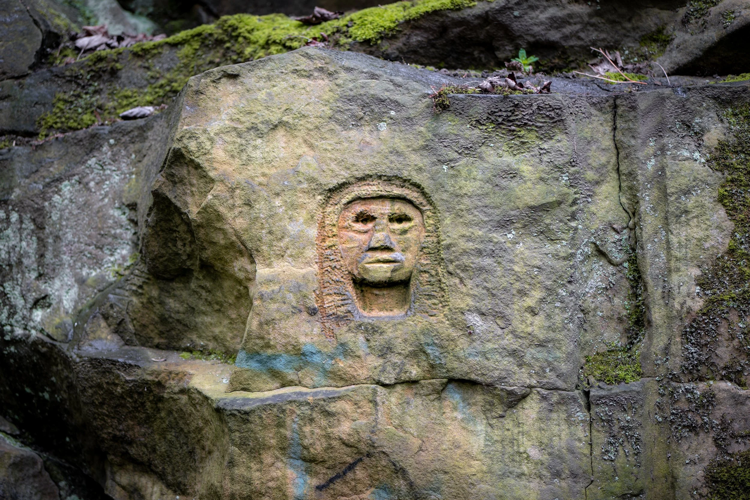 Darfield Quarry, South Yorkshire.