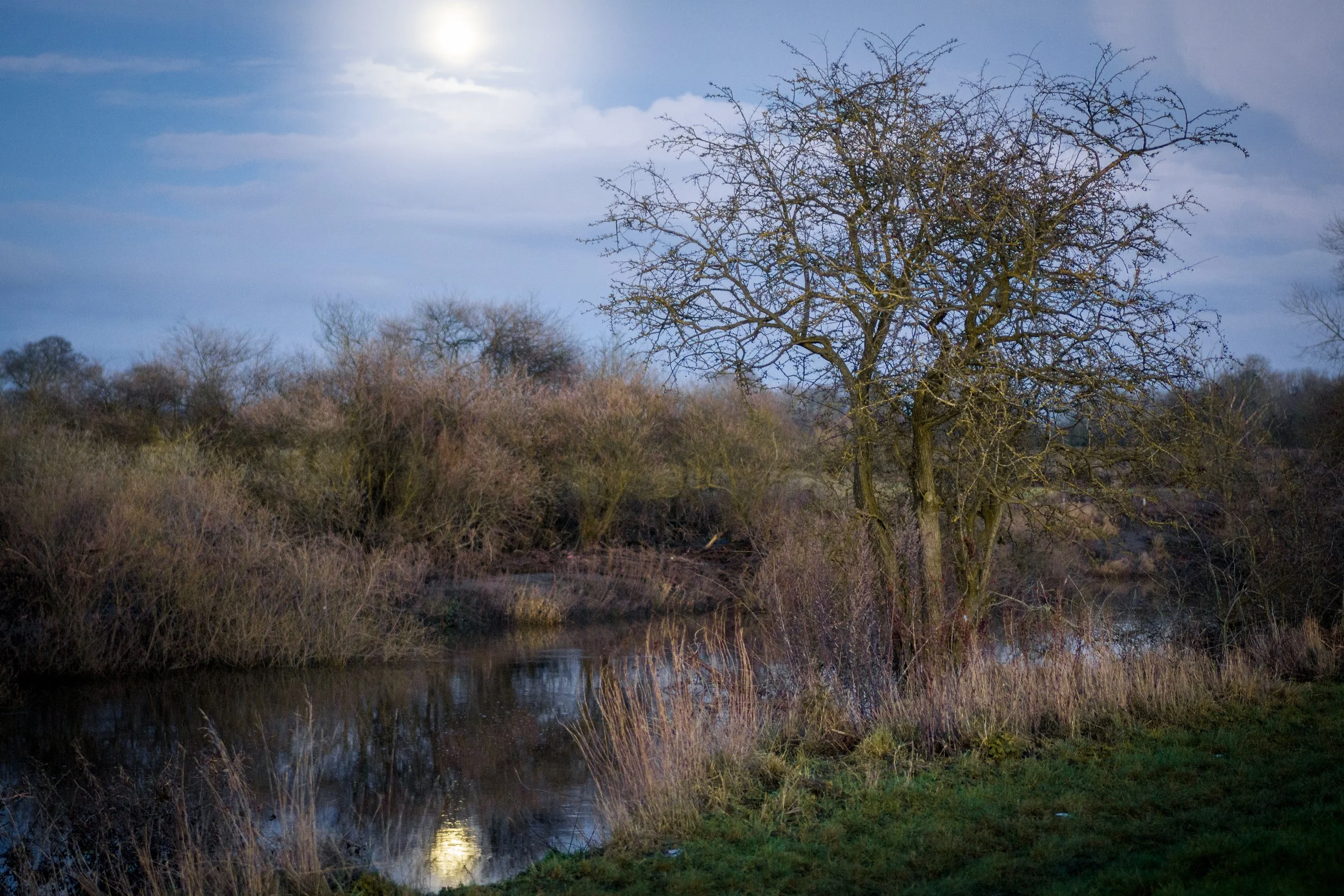 Moonrise. River Ure, Aldborough, North Yorkshire.