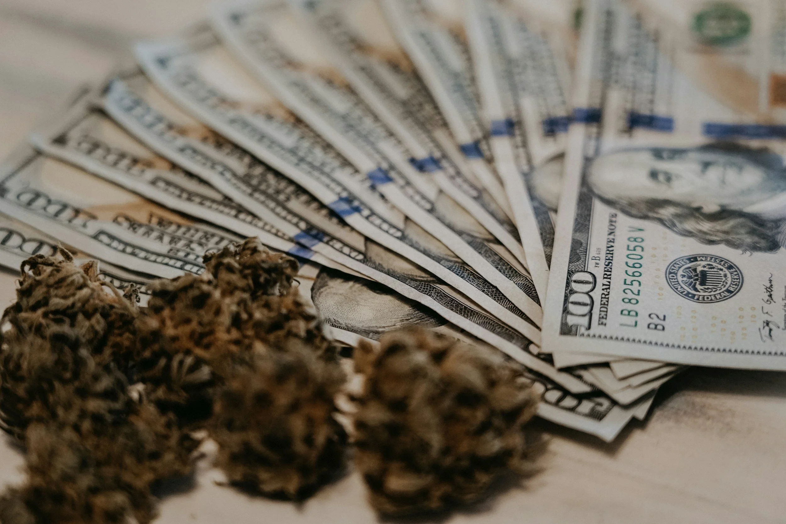A fan arrangement of $100 bills with a small pile of marijuana in the foreground.