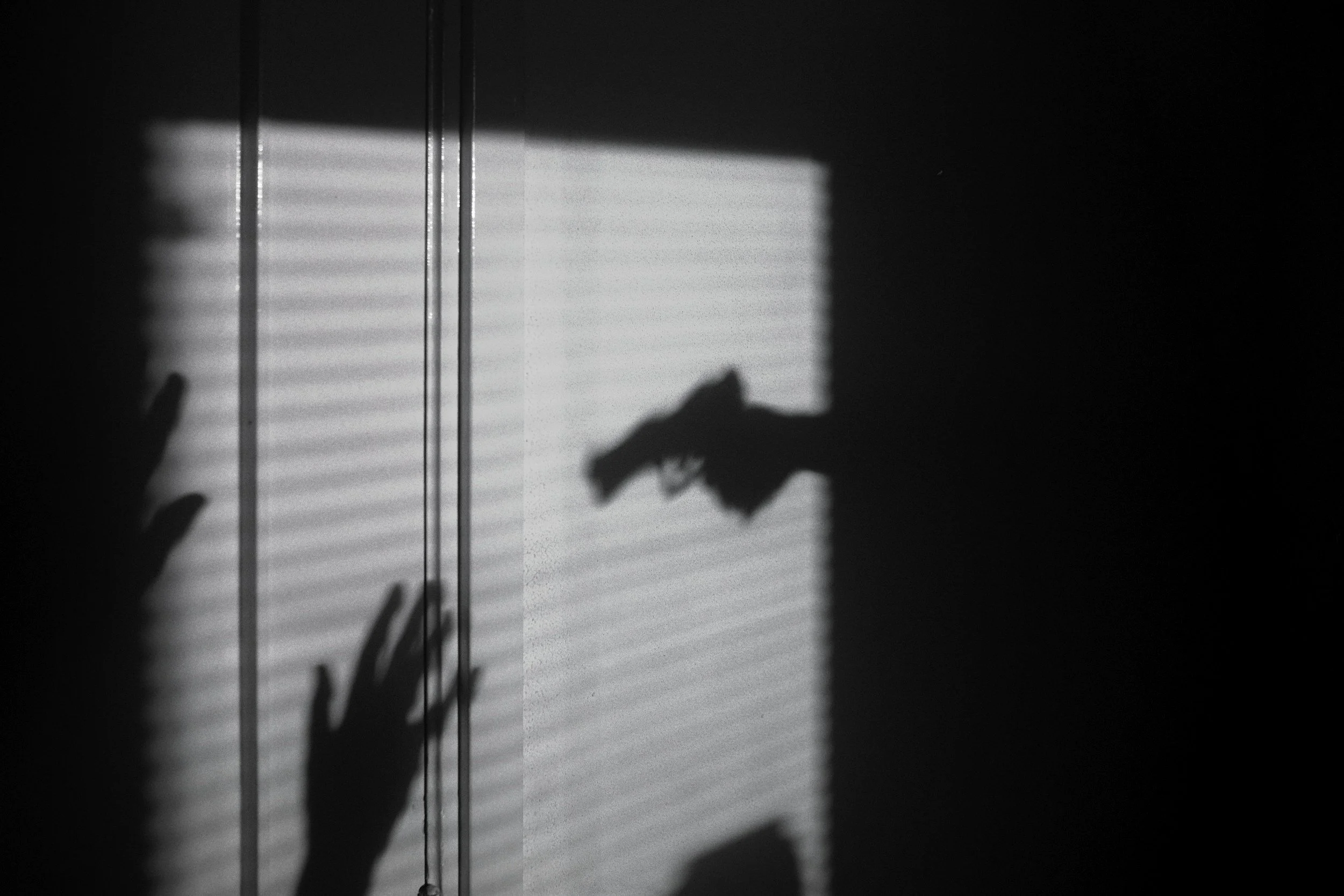 Shadows of a hand and a cat are cast on blinds with light coming through, creating a silhouette effect.