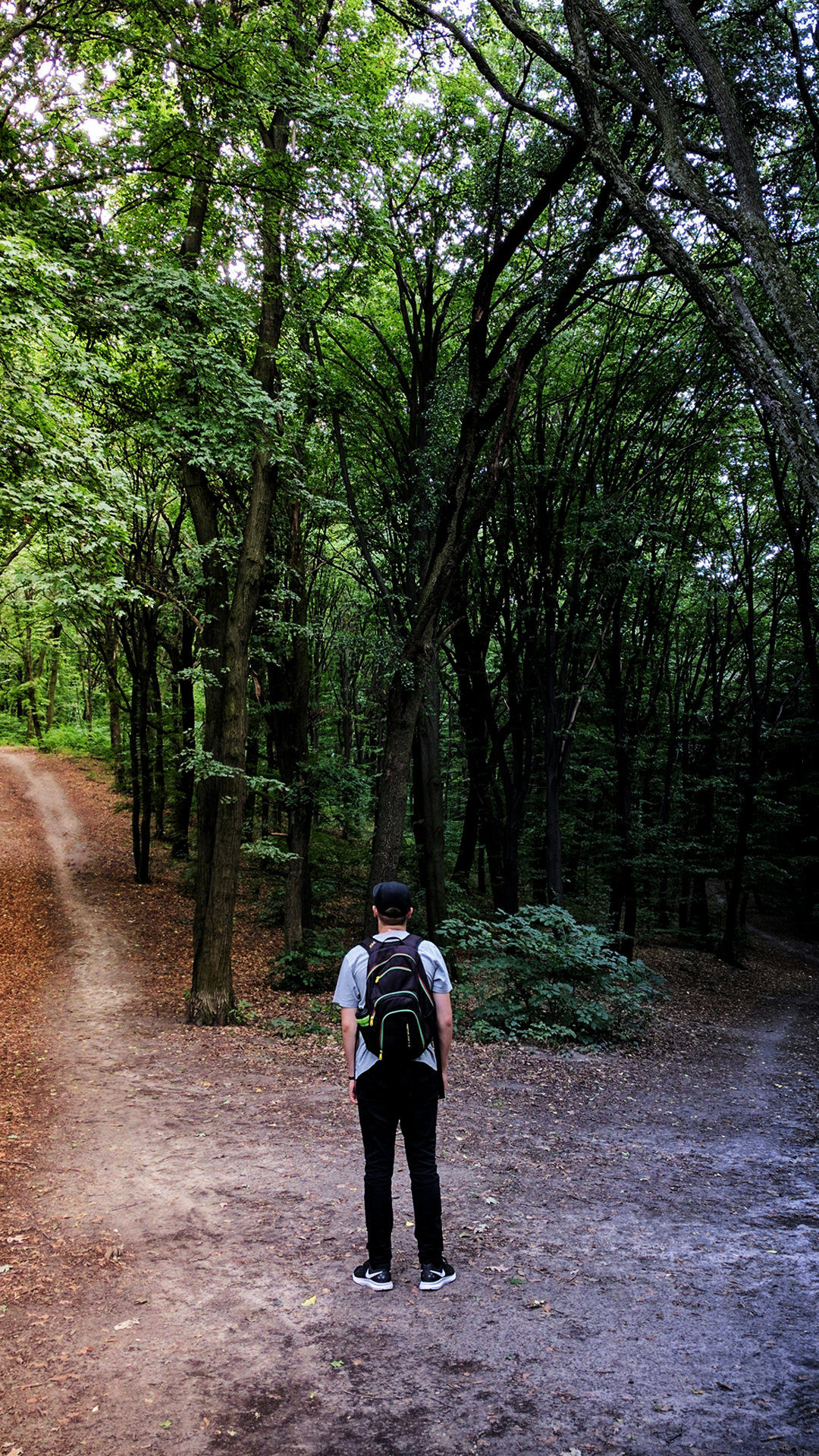 SHIELD SOLUTIONS HUB - CANNASHIELD.png