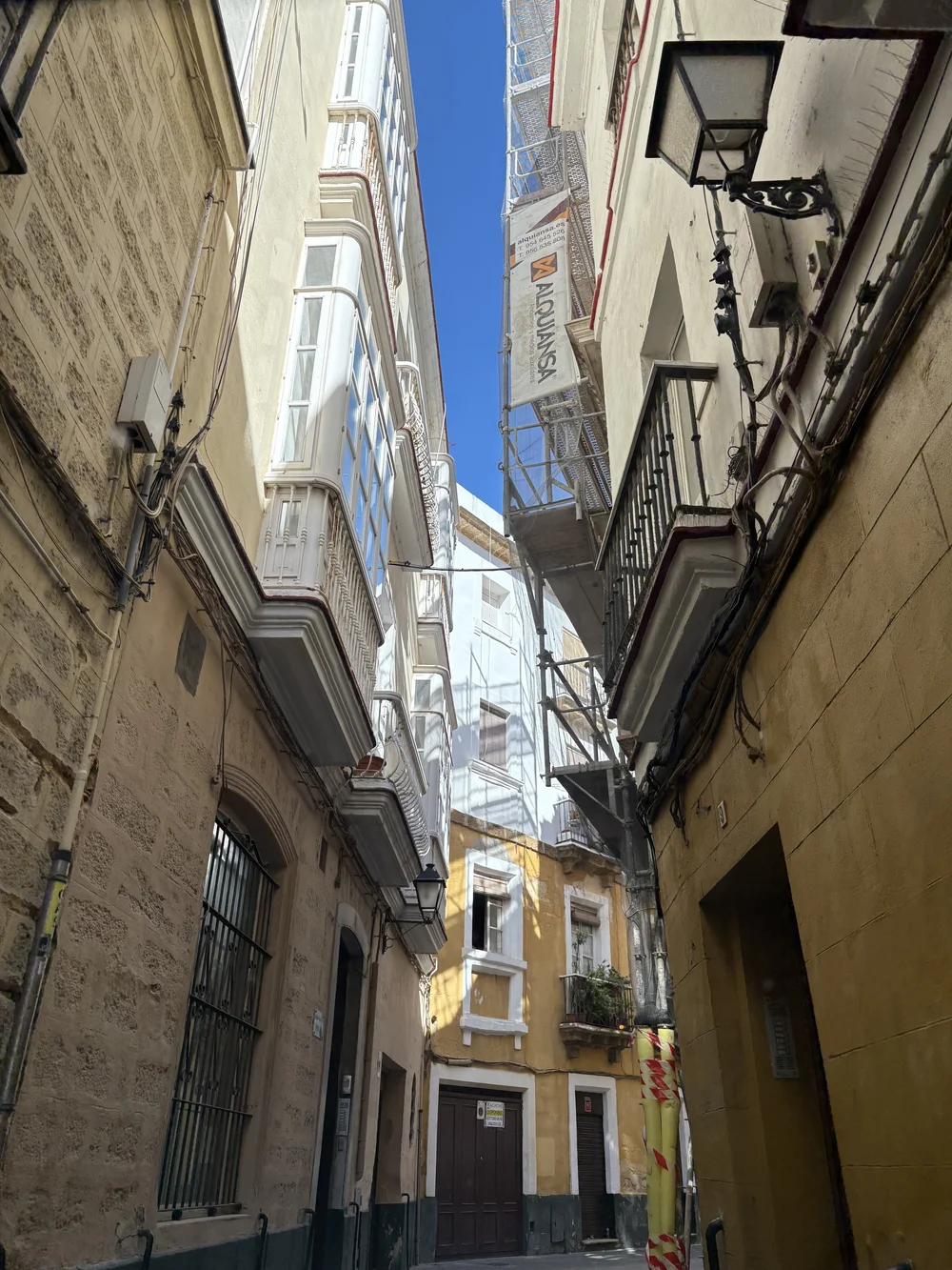 IMG_5284.jpeg