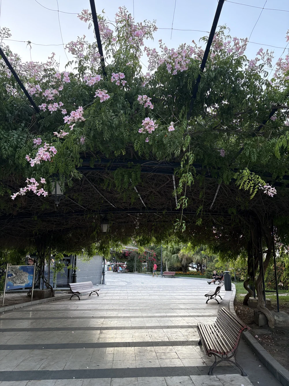 IMG_5373.jpeg