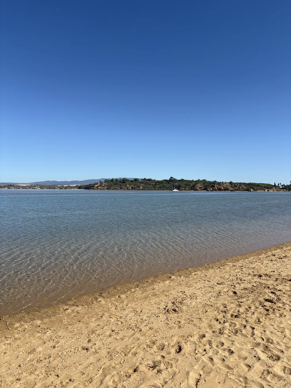 IMG_6161.jpeg