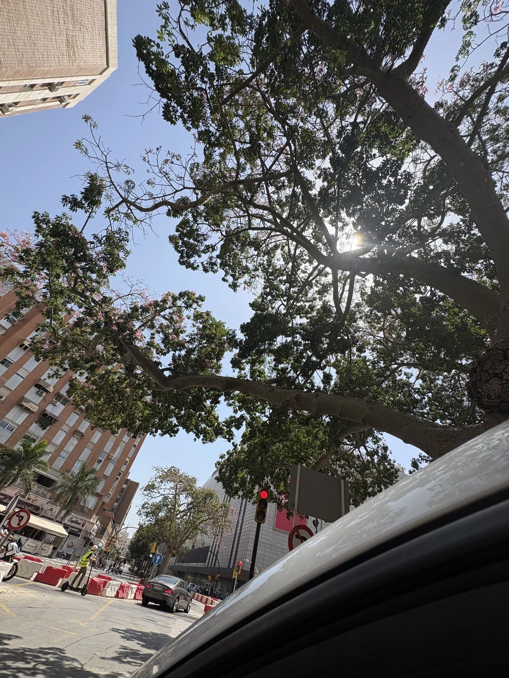 IMG_5579.jpeg