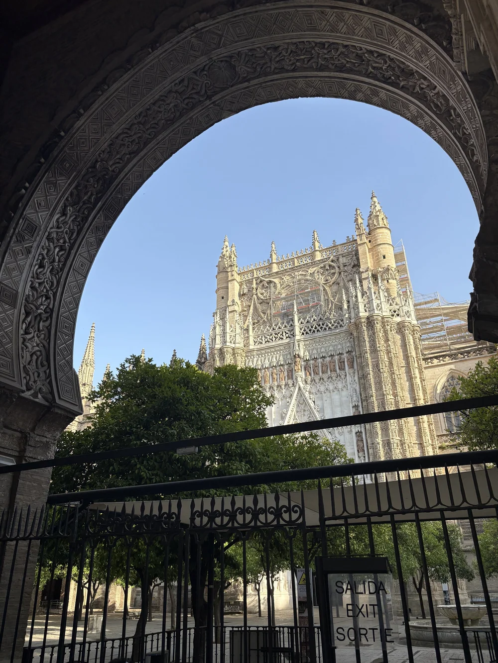IMG_4329.jpeg