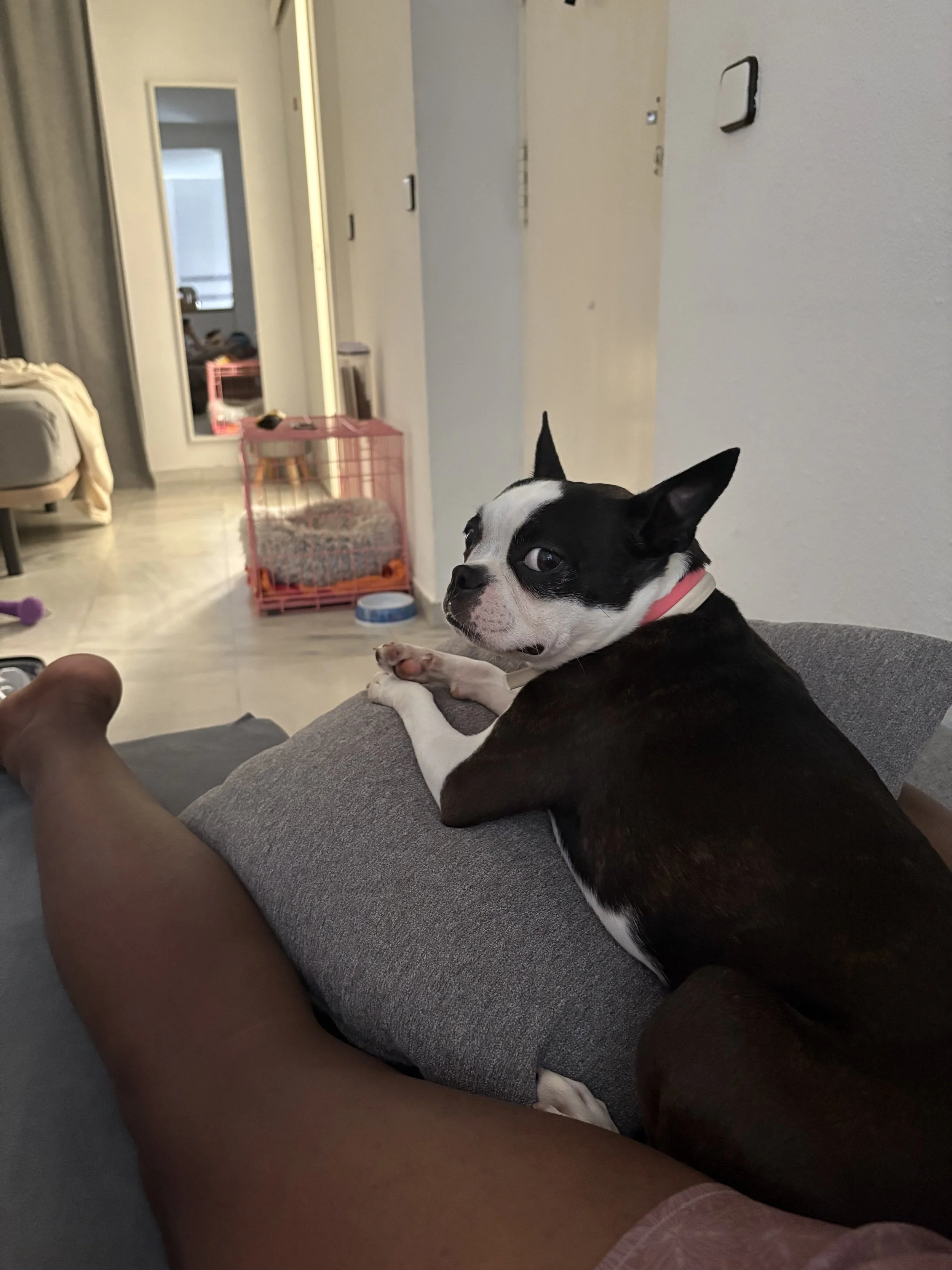 IMG_4306.jpeg
