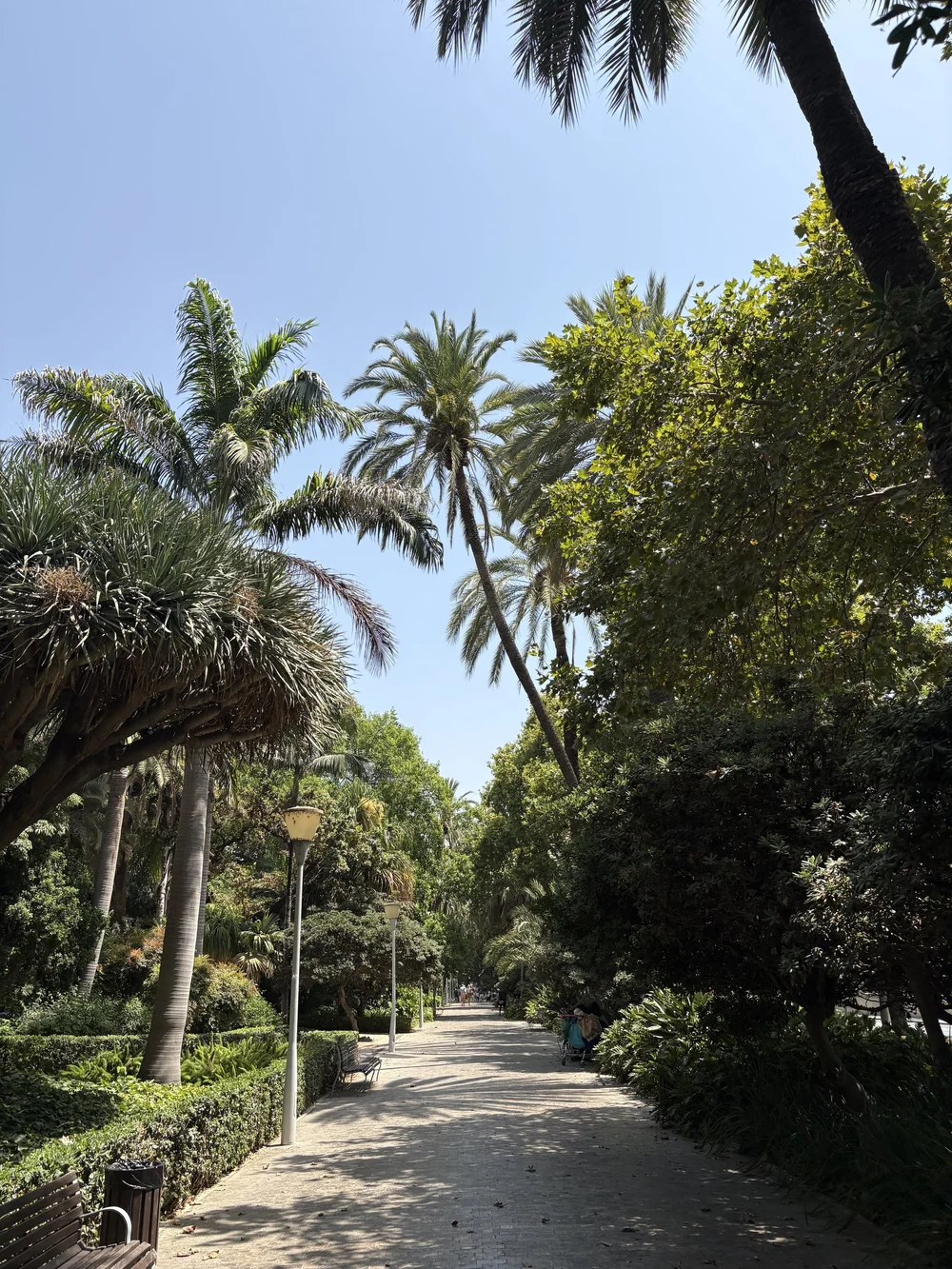 IMG_5583.jpeg