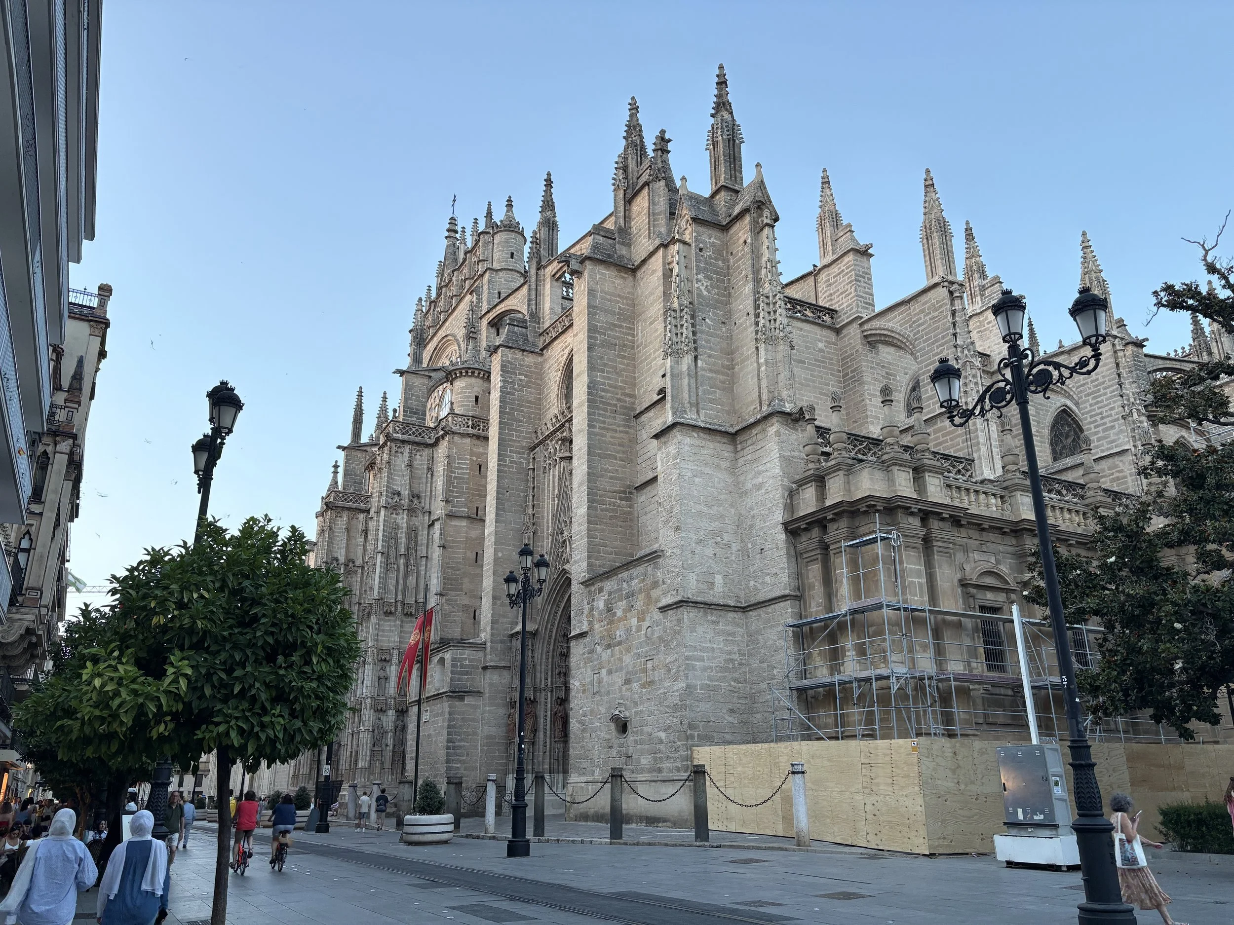 IMG_4341.jpeg