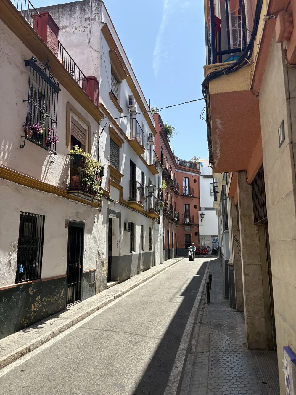IMG_4199.jpeg