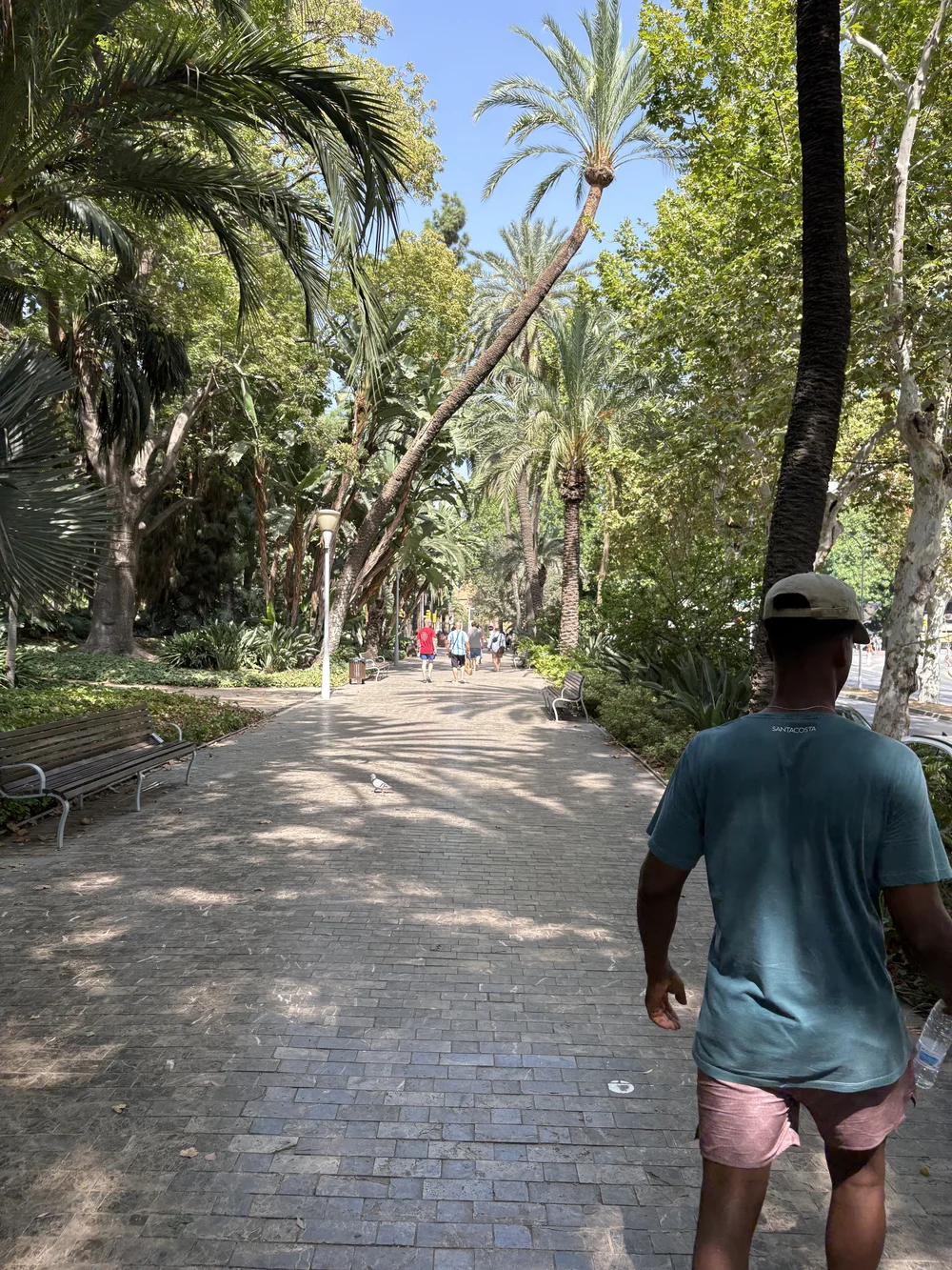 IMG_5623.jpeg