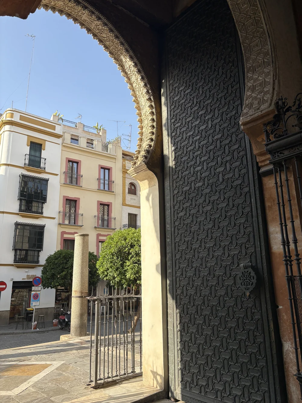 IMG_4330.jpeg