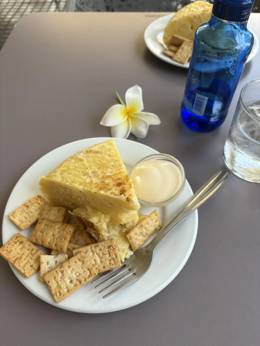 IMG_5602.jpeg