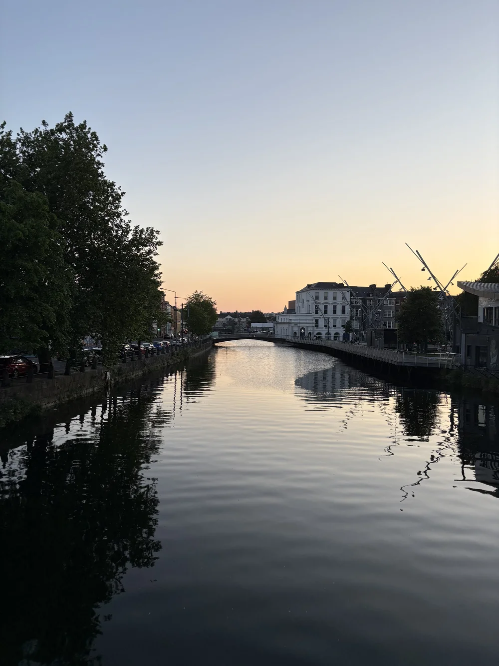 IMG_3606.jpeg