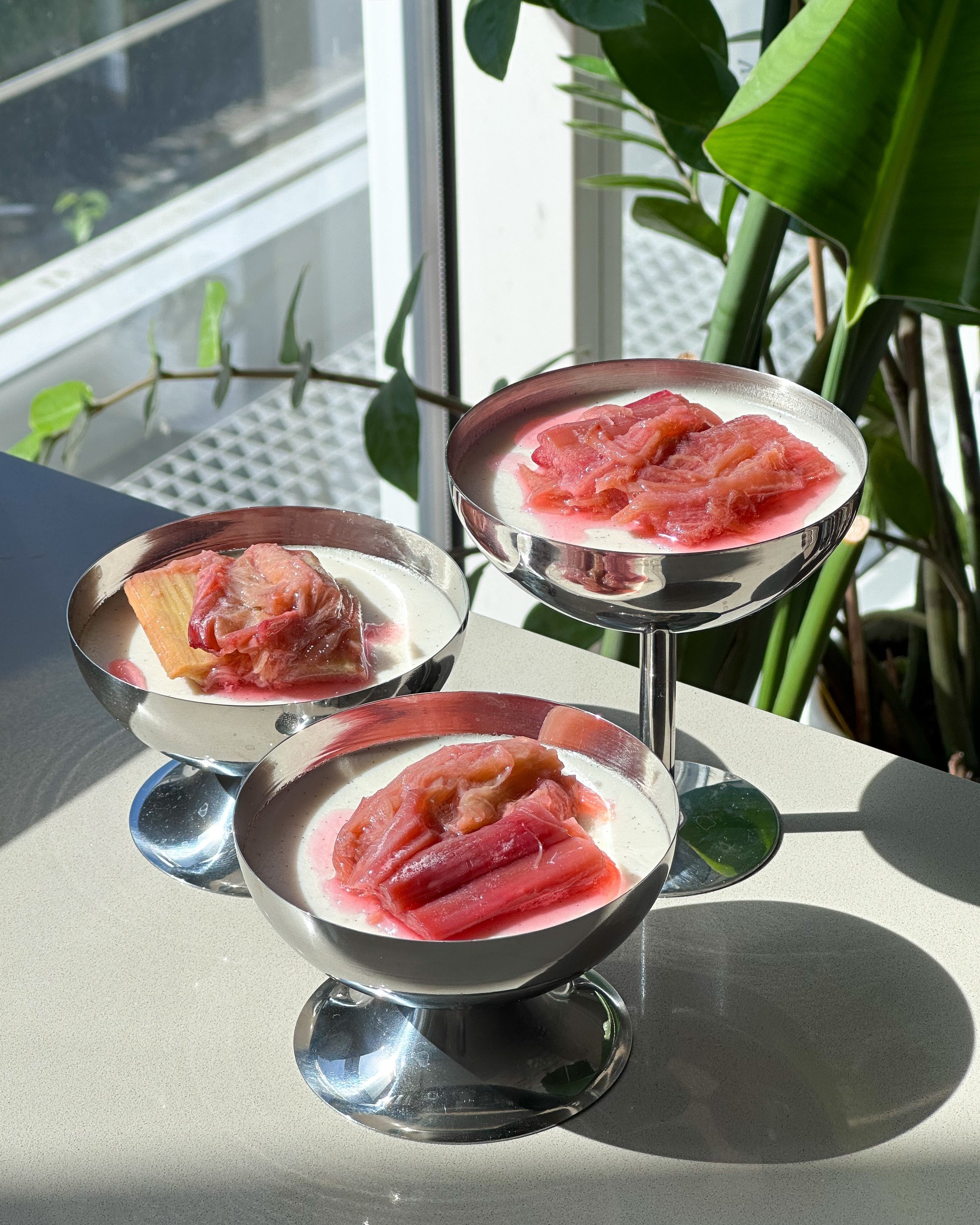 Rhubarb Panna Cotta