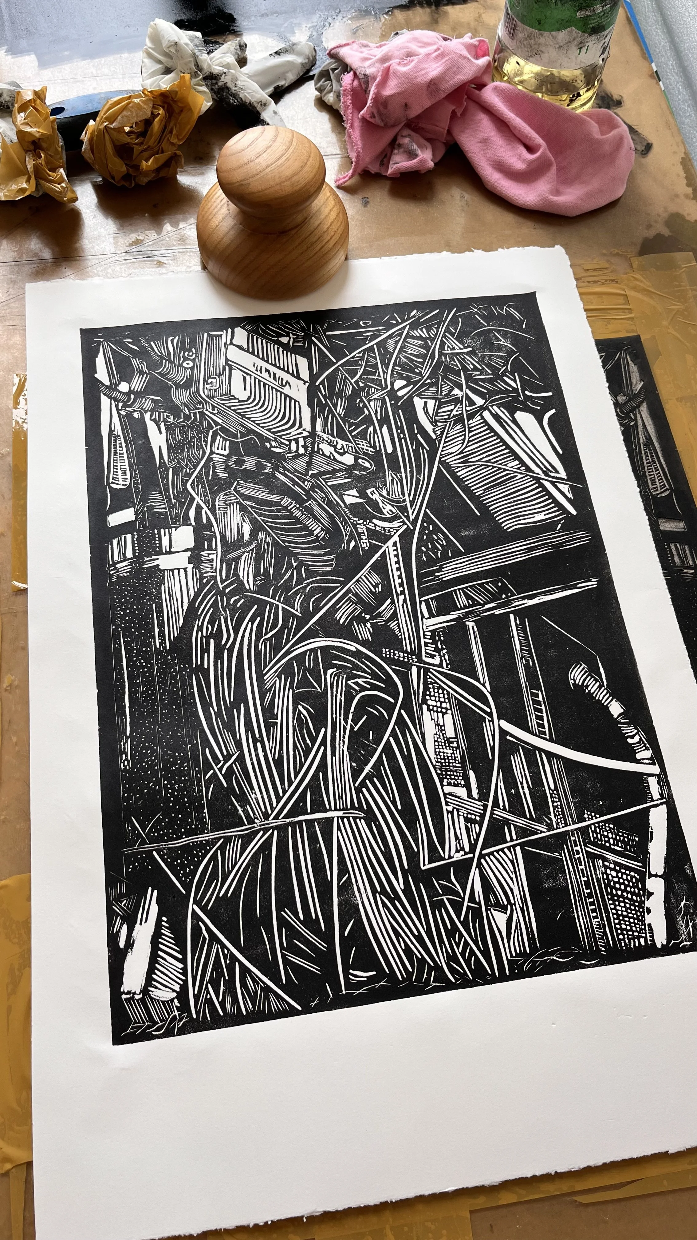 Tangled Wires studio shot.jpg